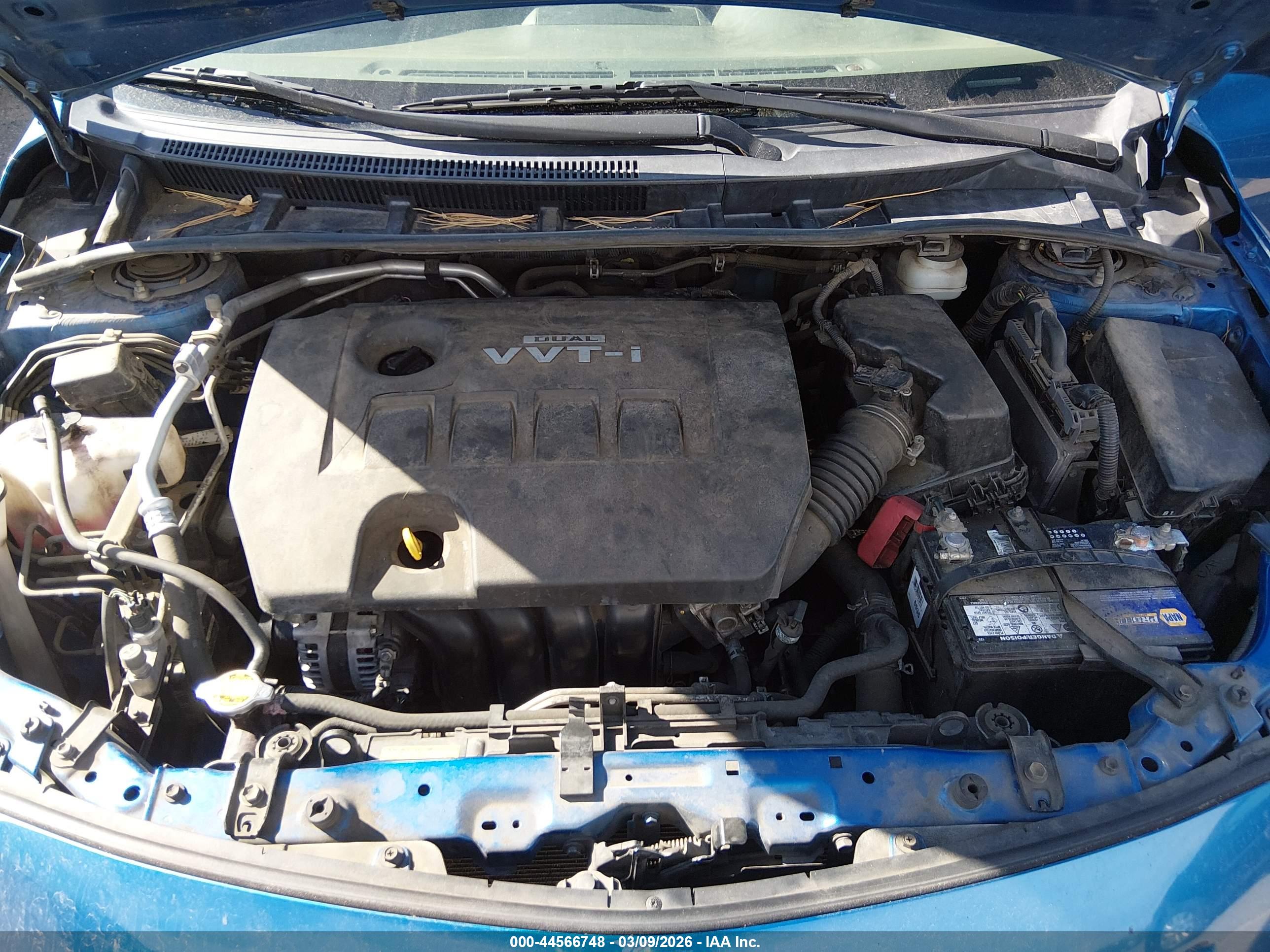 TOYOTA COROLLA image 10
