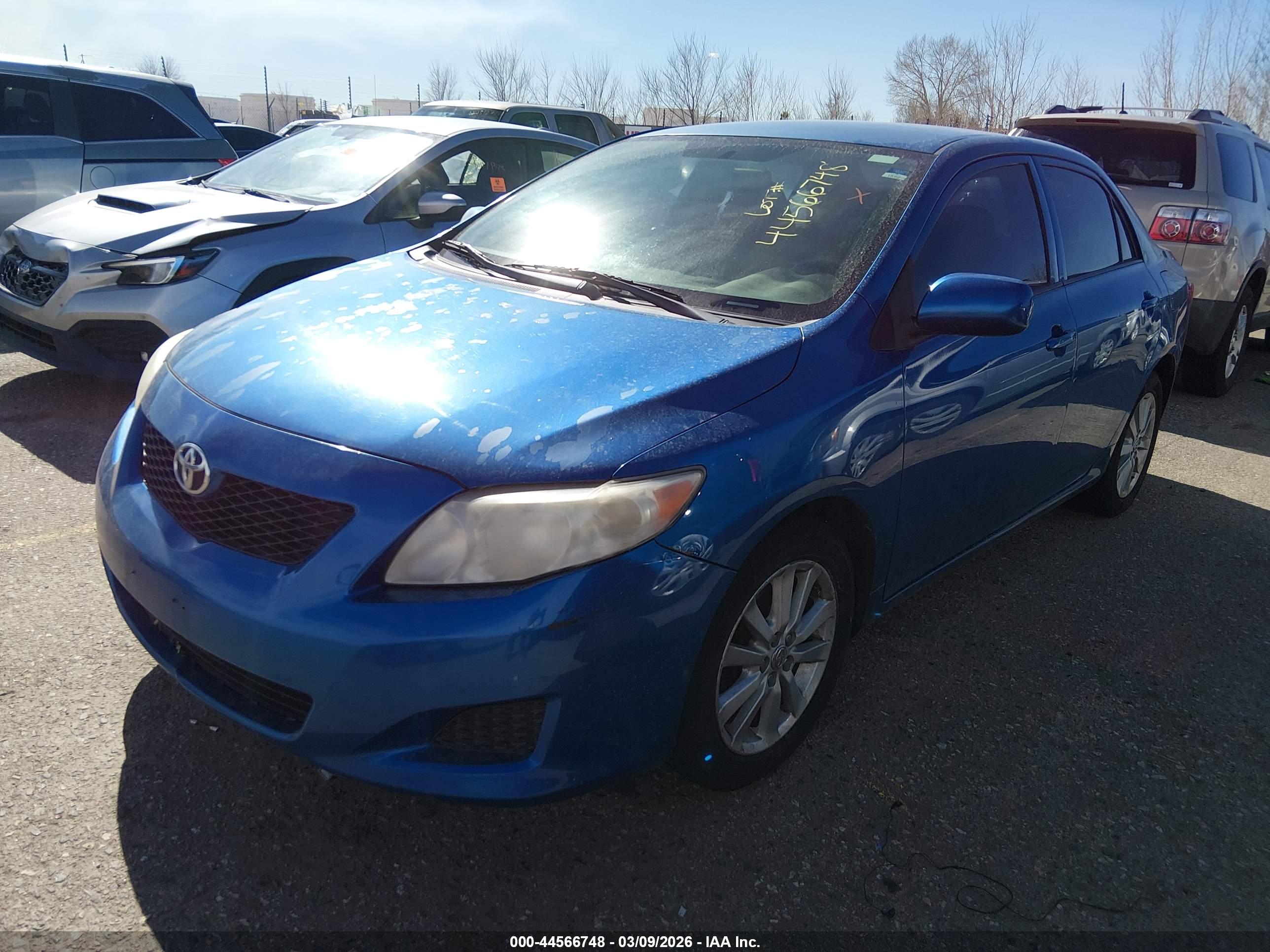 TOYOTA COROLLA image 2