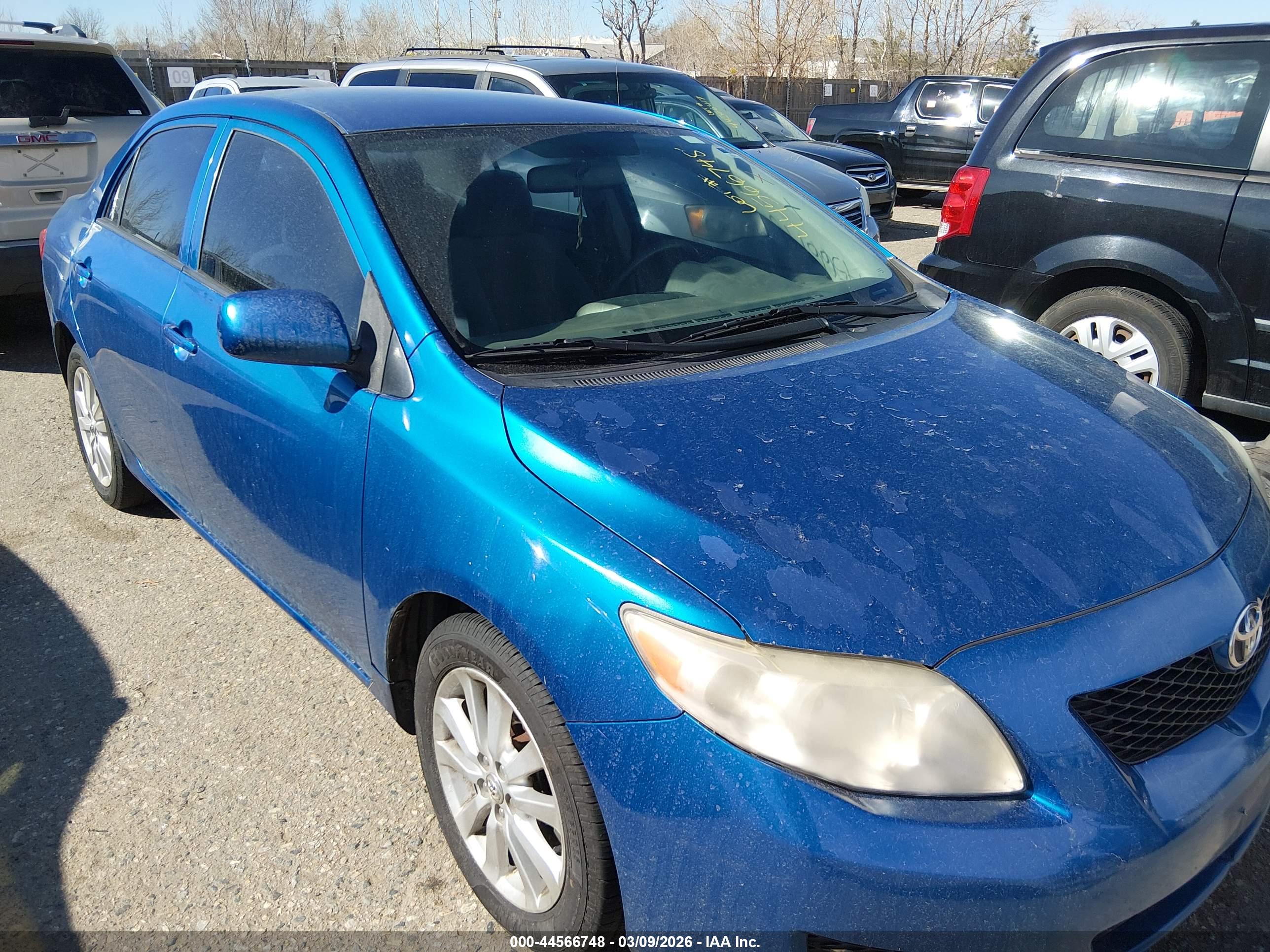 TOYOTA COROLLA image 6