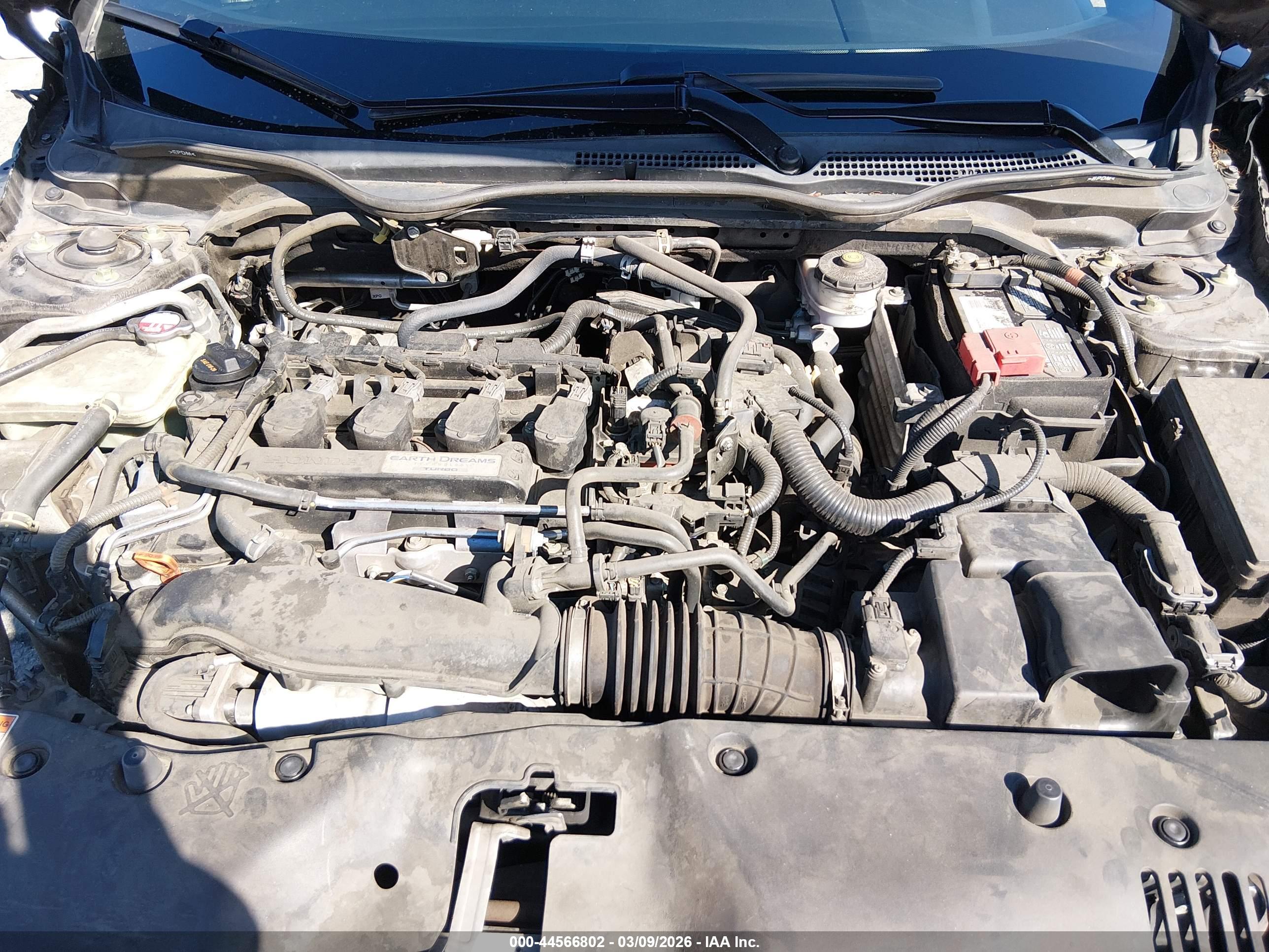 HONDA CIVIC image 10