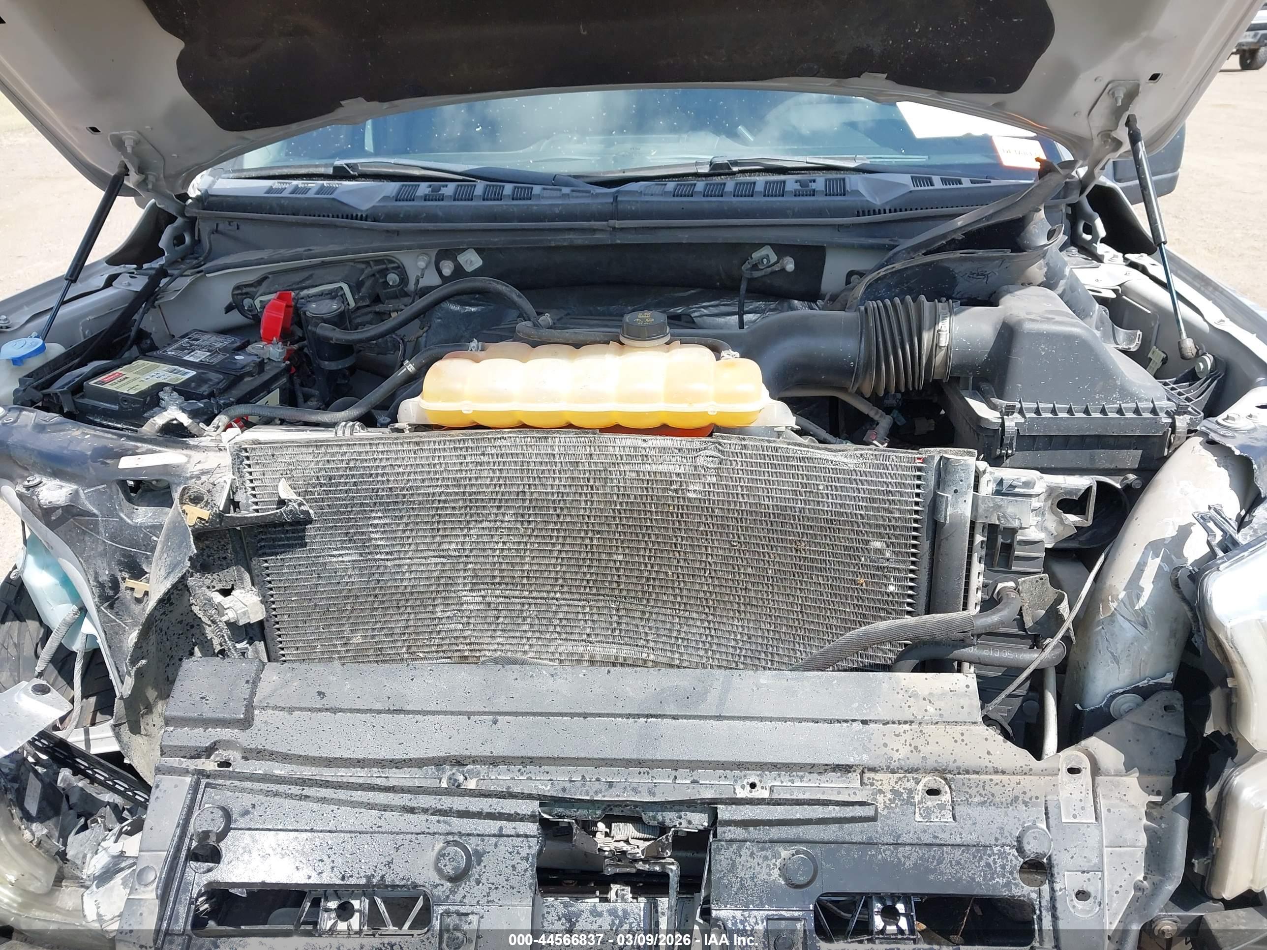 FORD F-150 image 10
