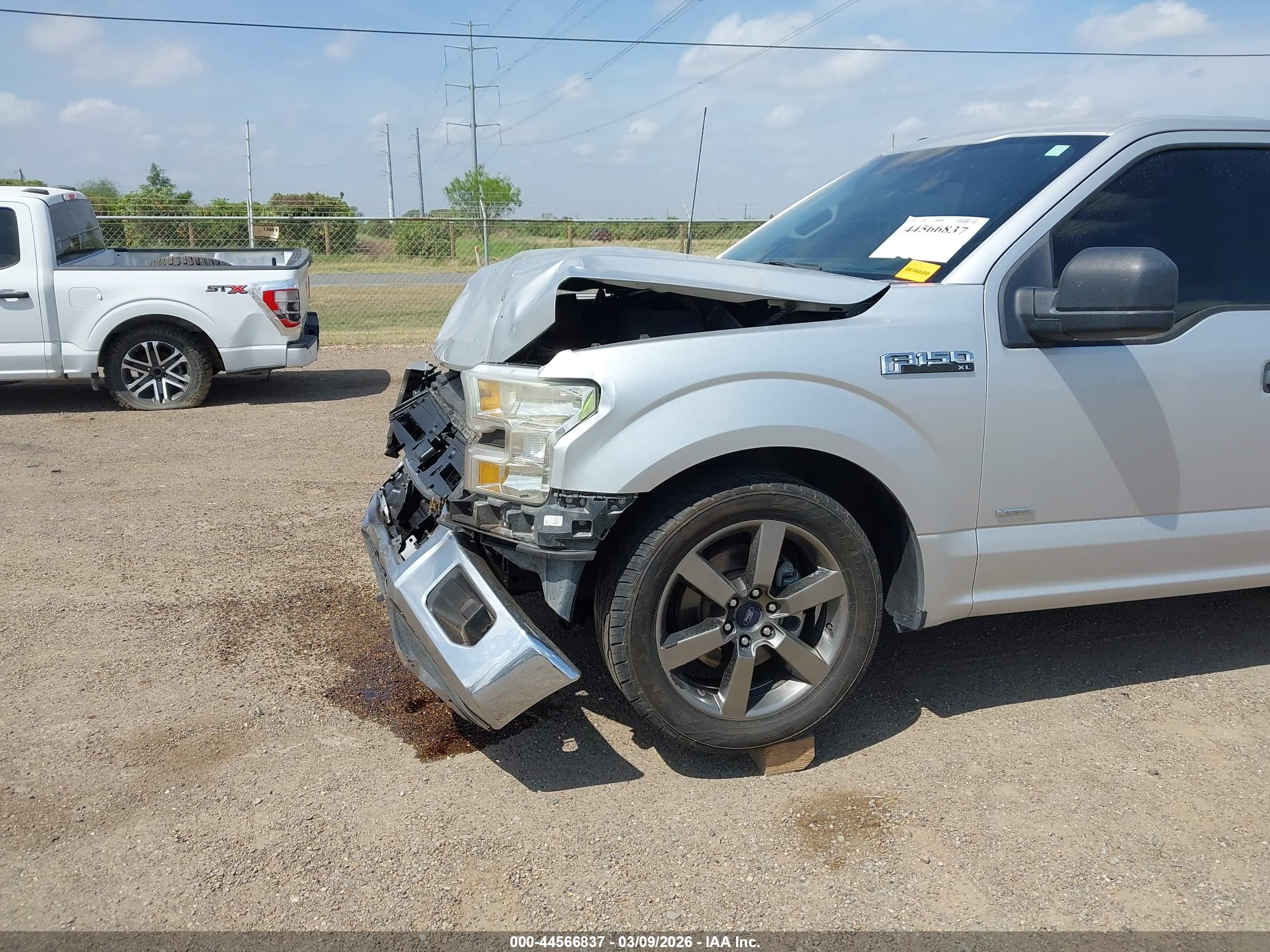 FORD F-150 image 6