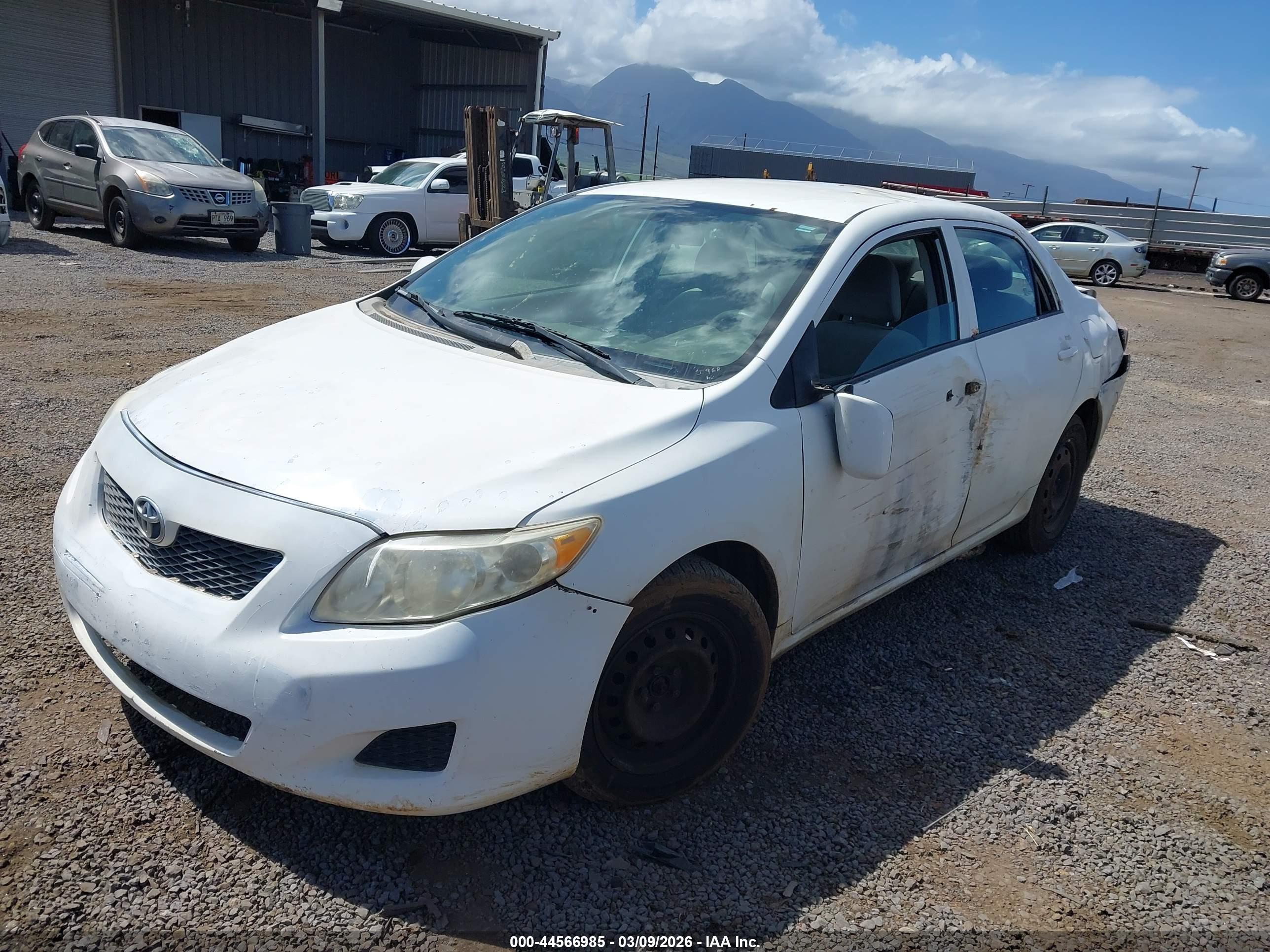 TOYOTA COROLLA image 2