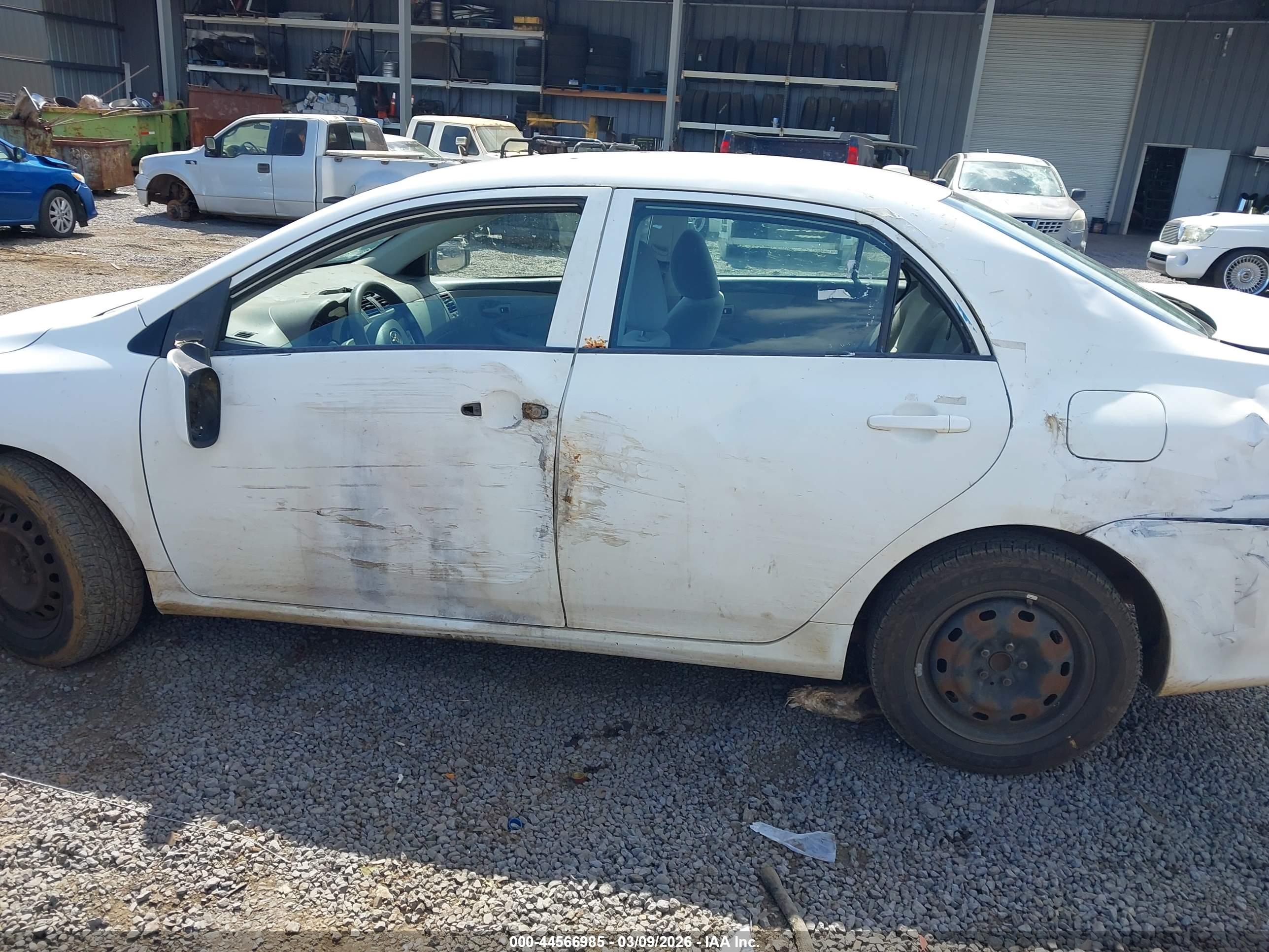 TOYOTA COROLLA image 6