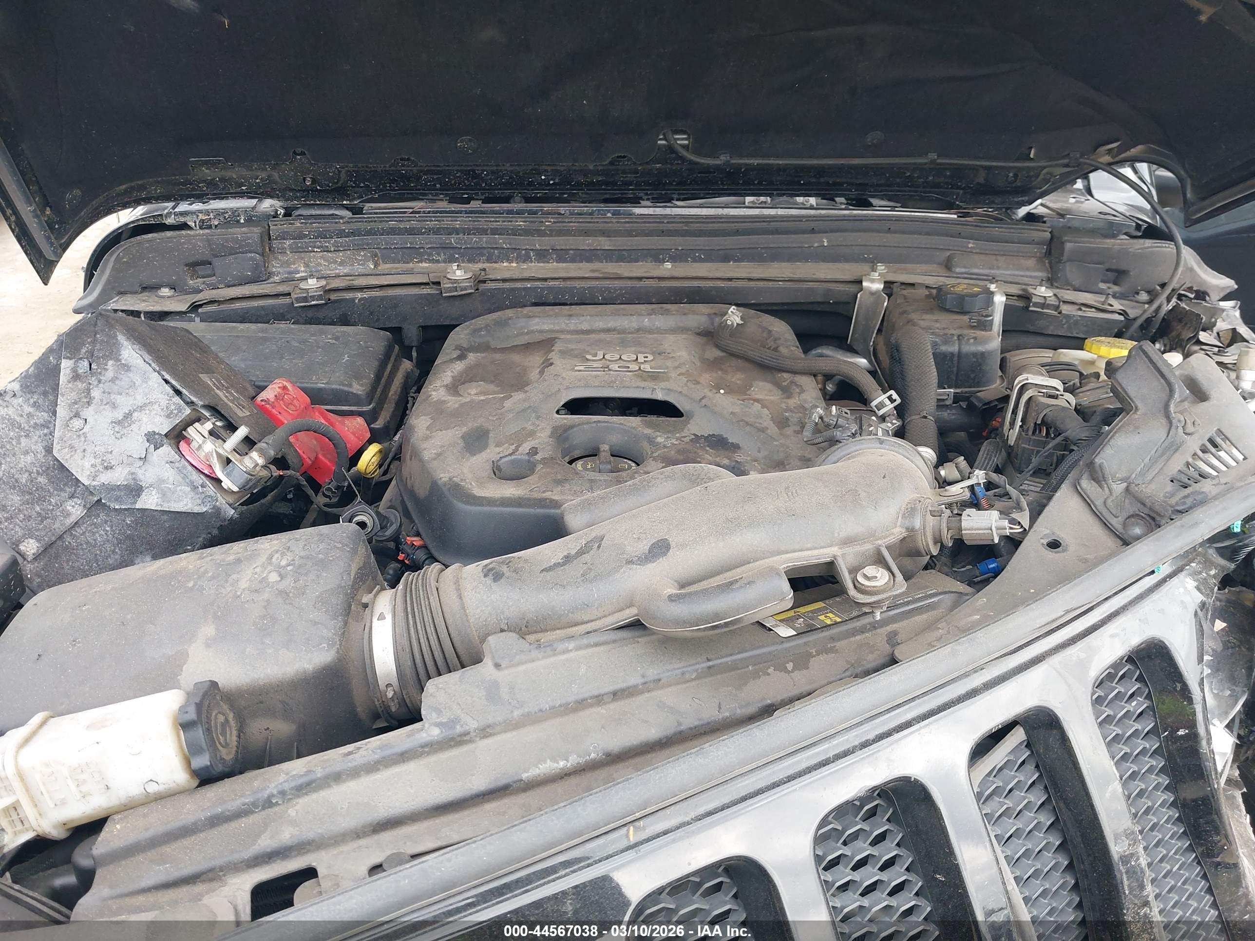 JEEP WRANGLER image 10