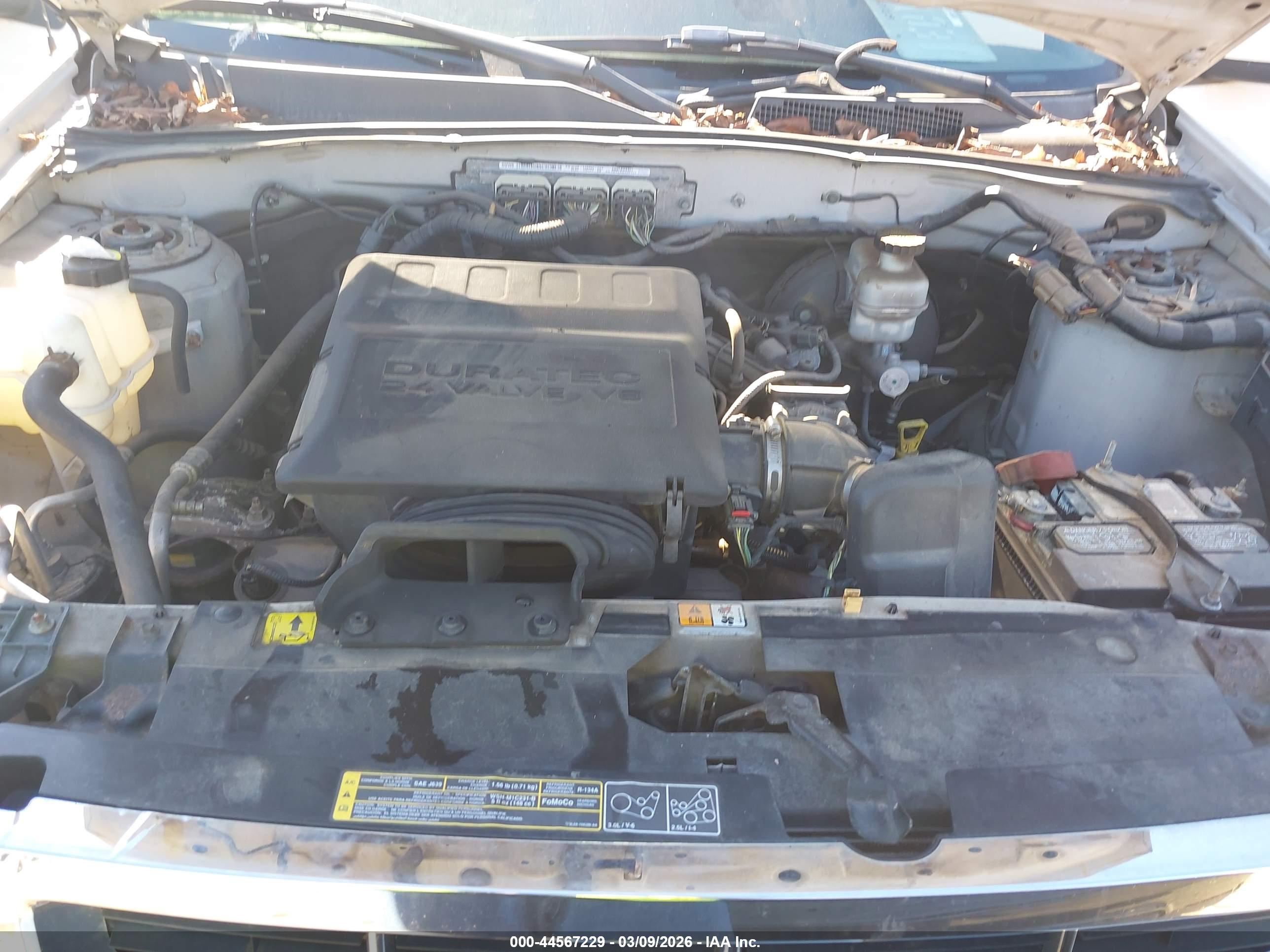 FORD ESCAPE image 10