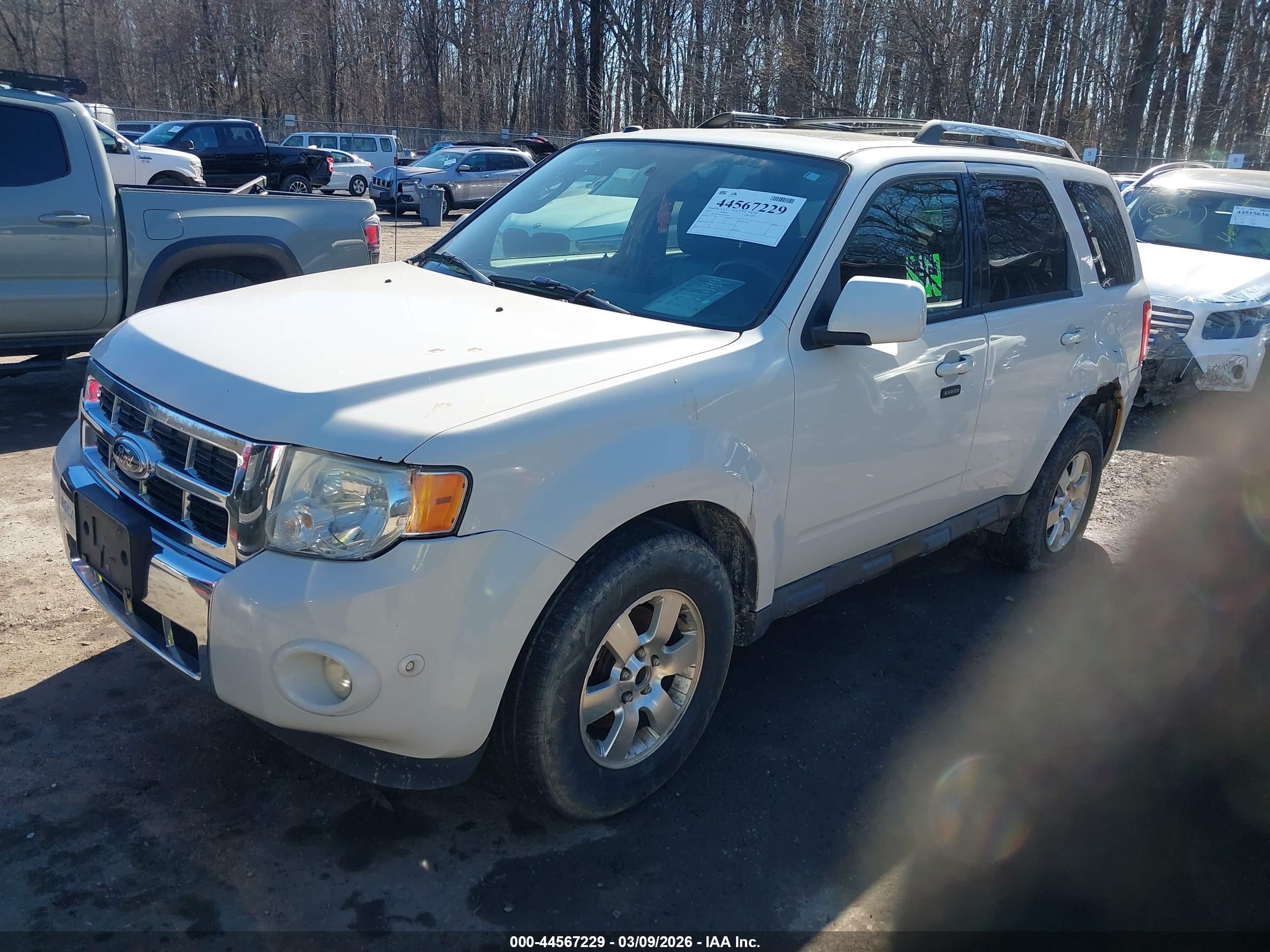 FORD ESCAPE image 2