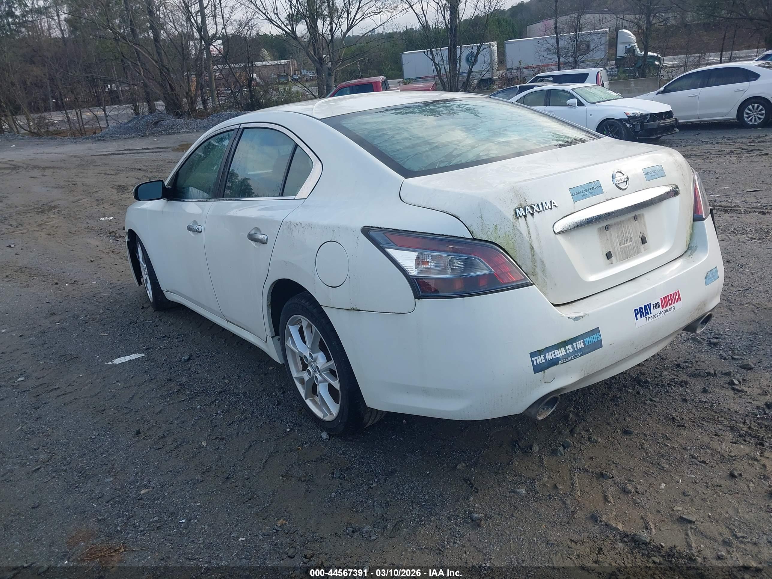 NISSAN MAXIMA image 3