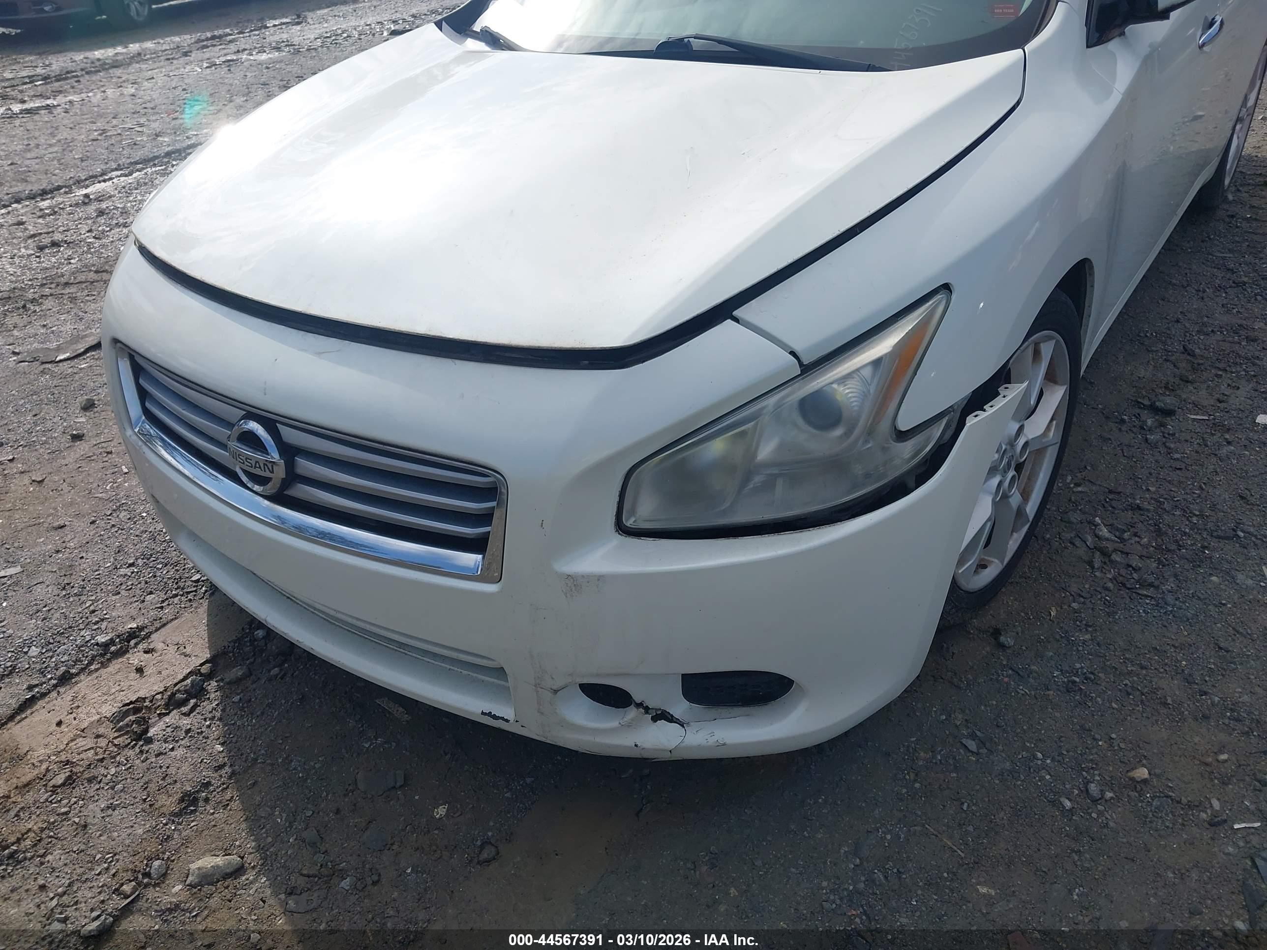NISSAN MAXIMA image 6