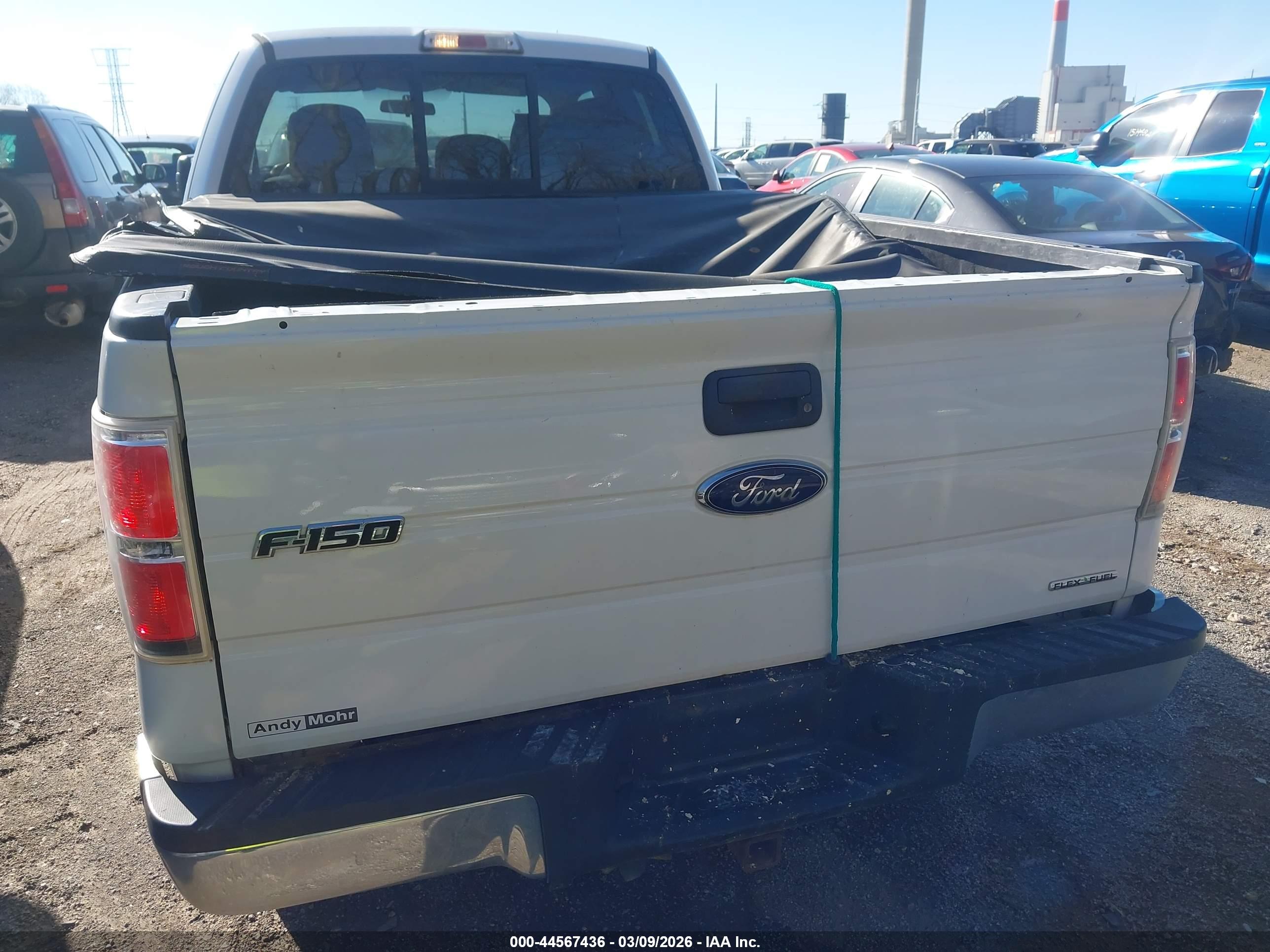 FORD F-150 image 6