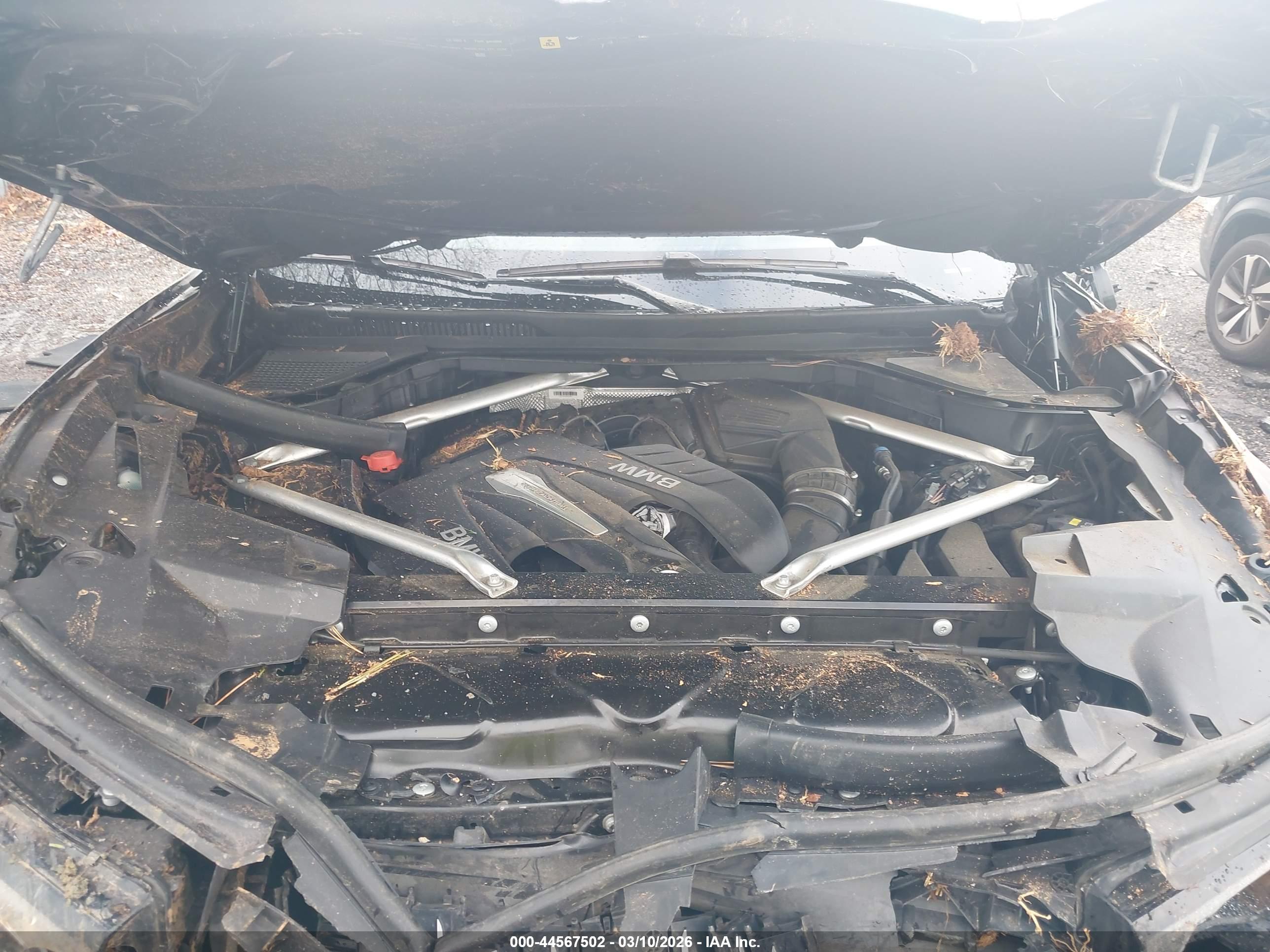 BMW X7 image 10