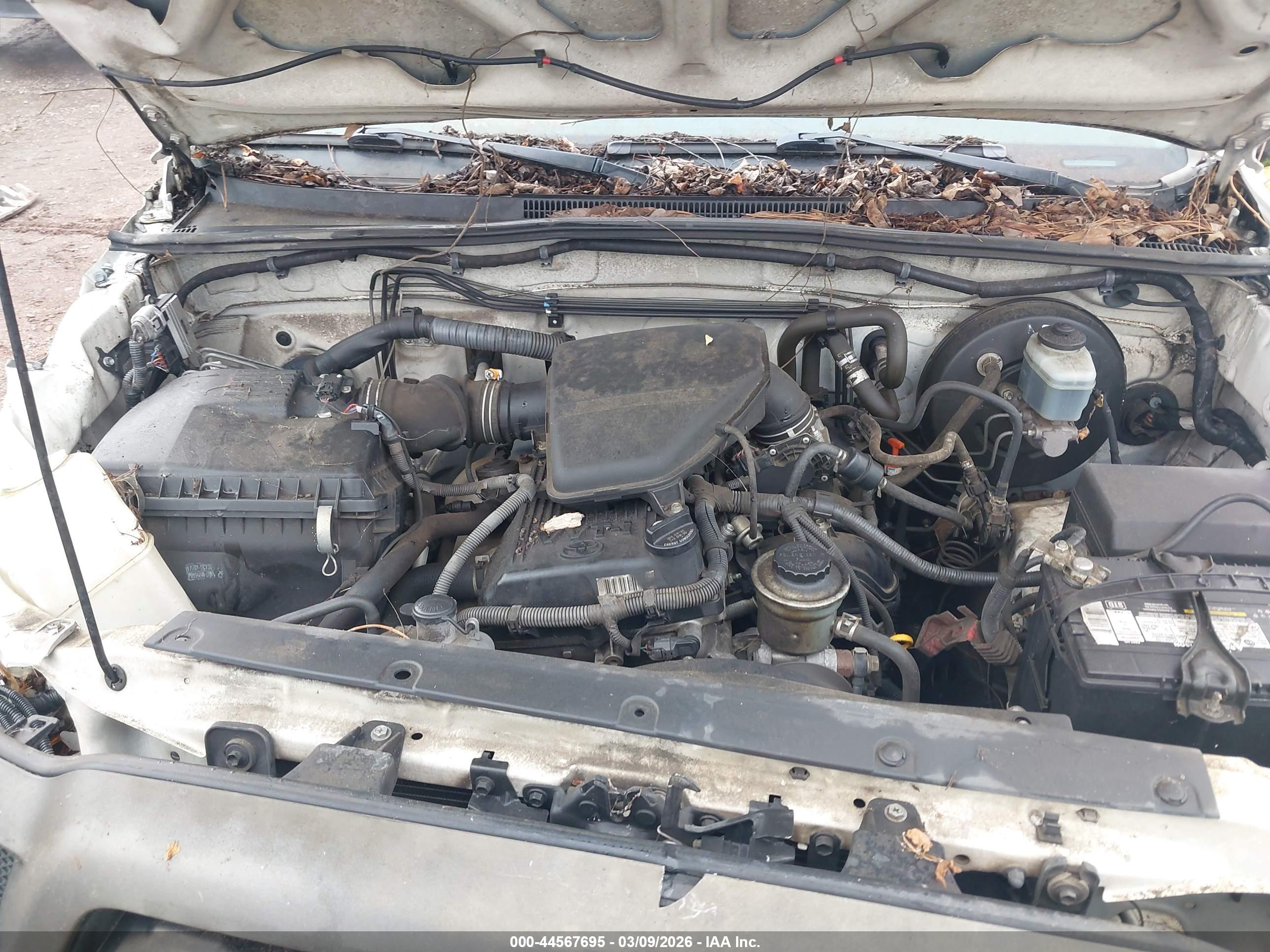 TOYOTA TACOMA image 10