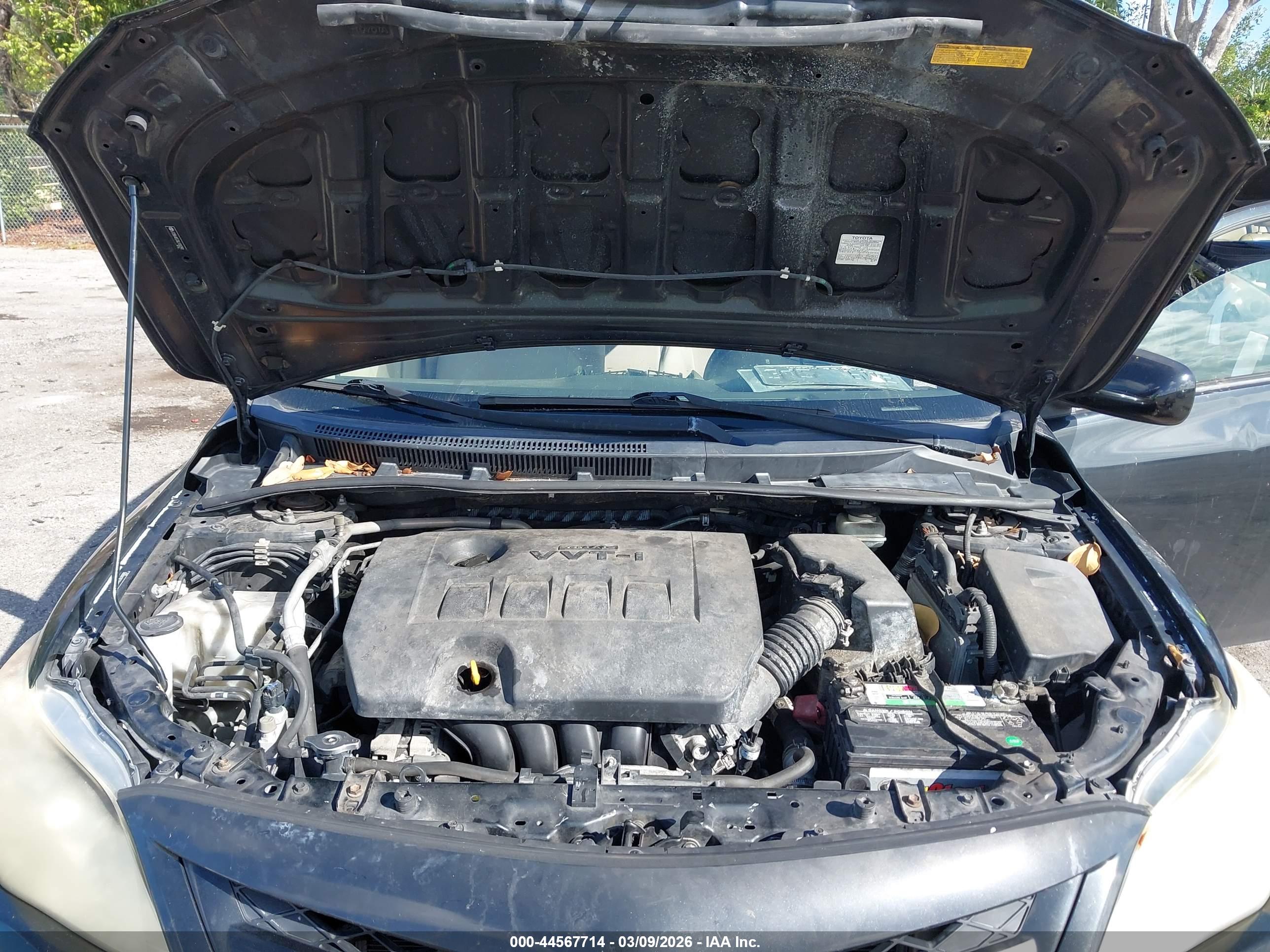 TOYOTA COROLLA image 10