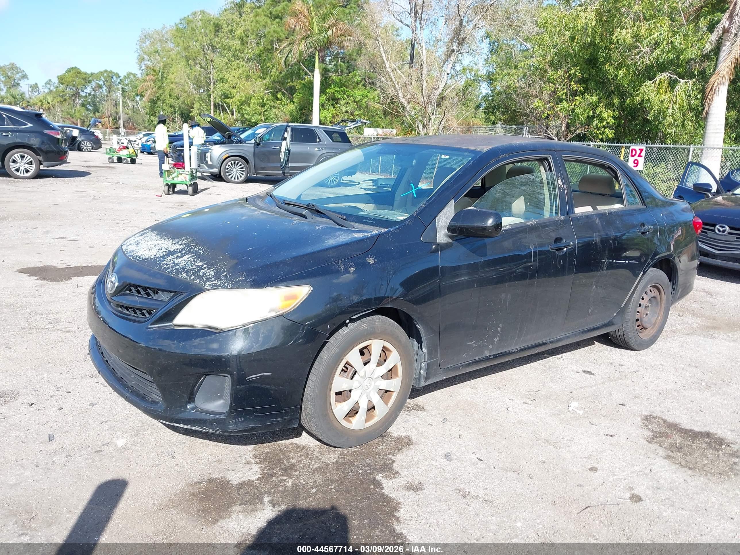 TOYOTA COROLLA image 2