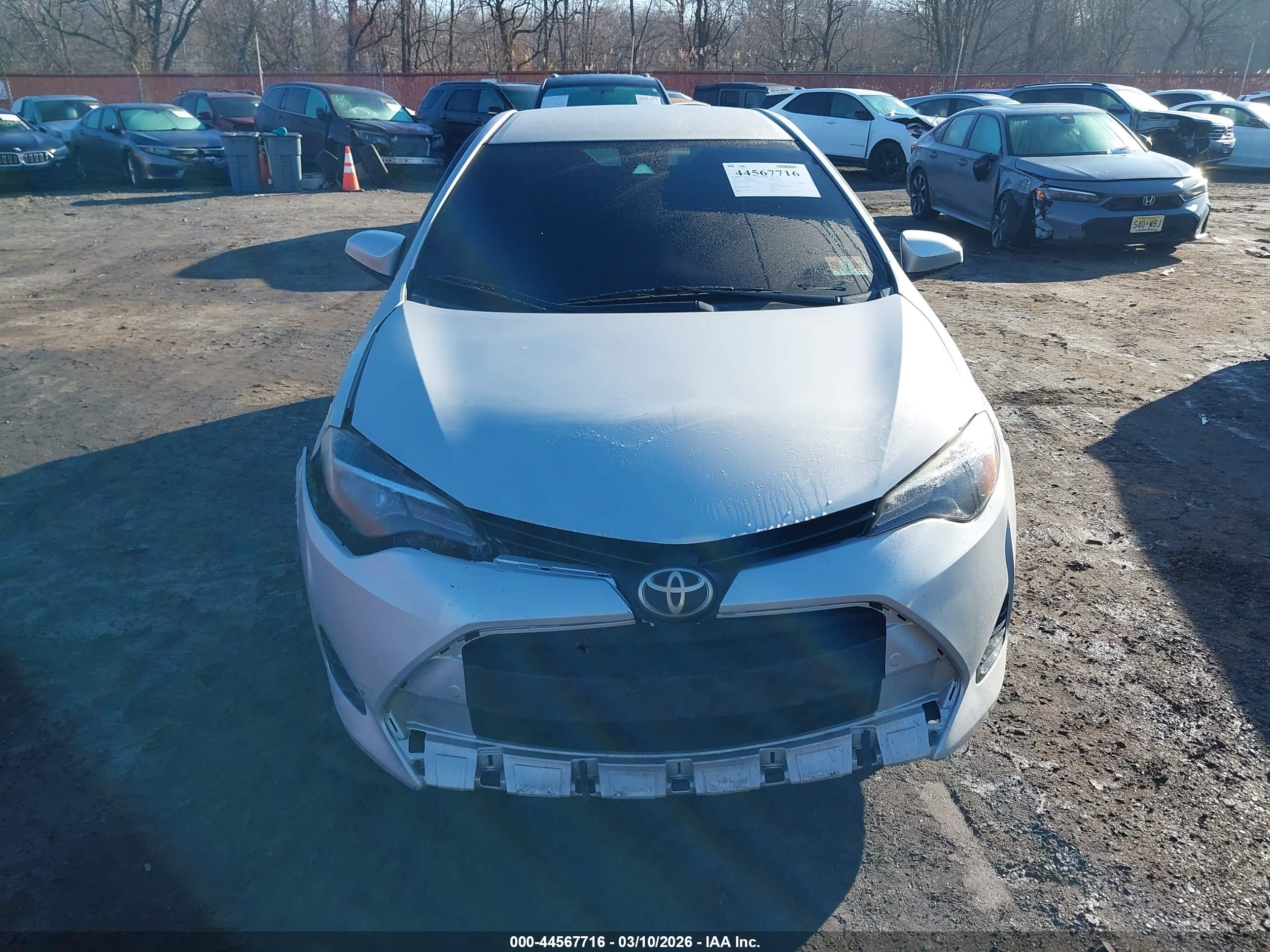 TOYOTA COROLLA image 6