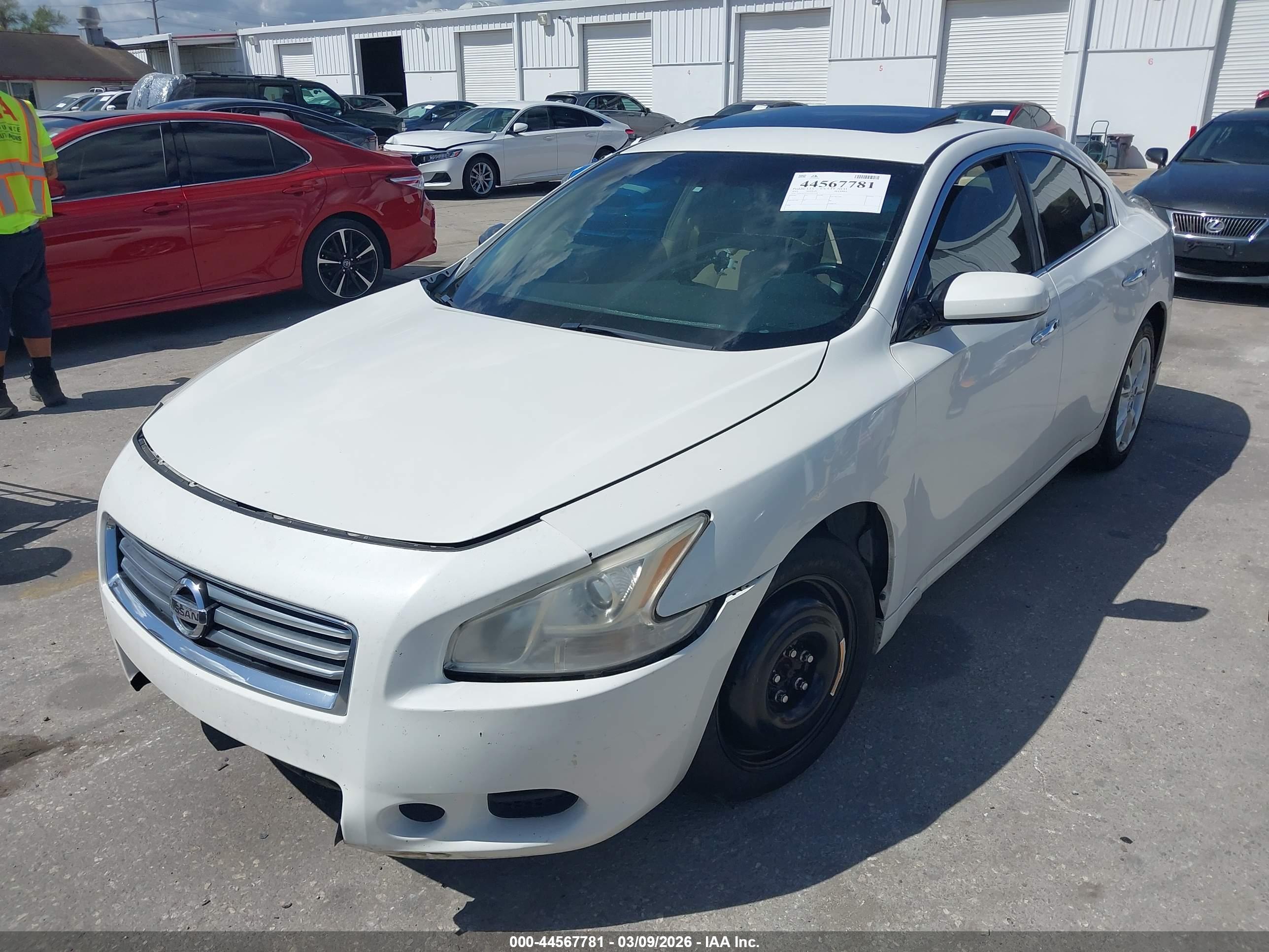 NISSAN MAXIMA image 2