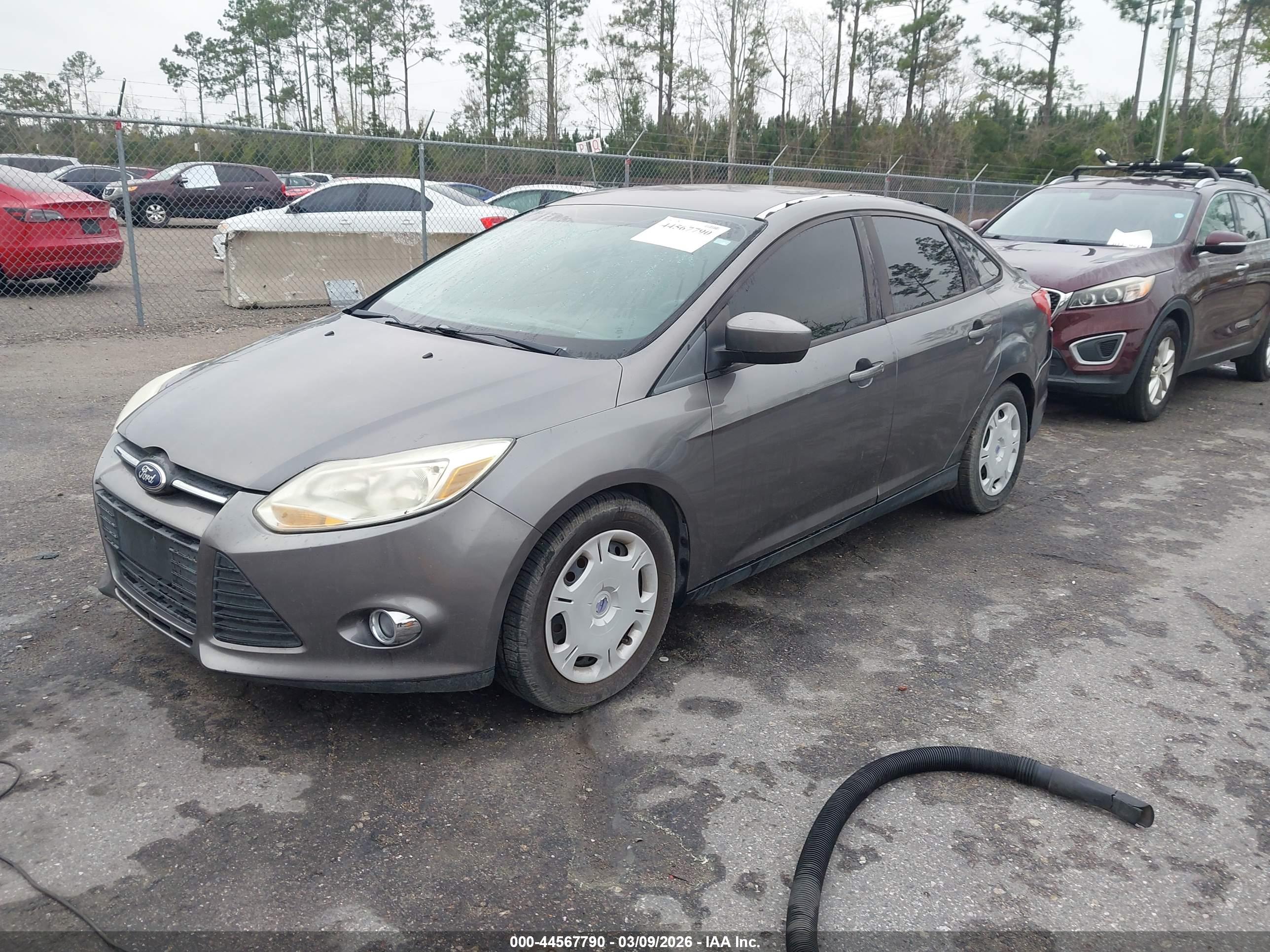 FORD FOCUS image 2