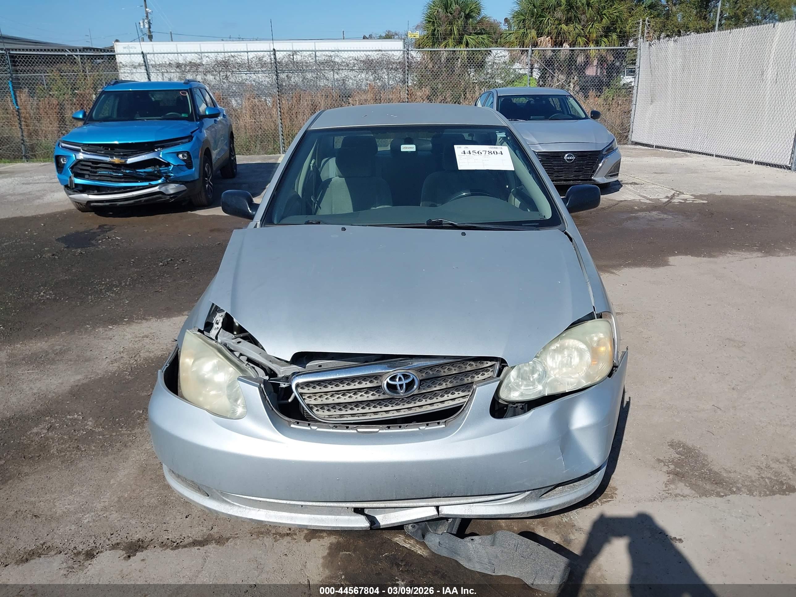 TOYOTA COROLLA image 6