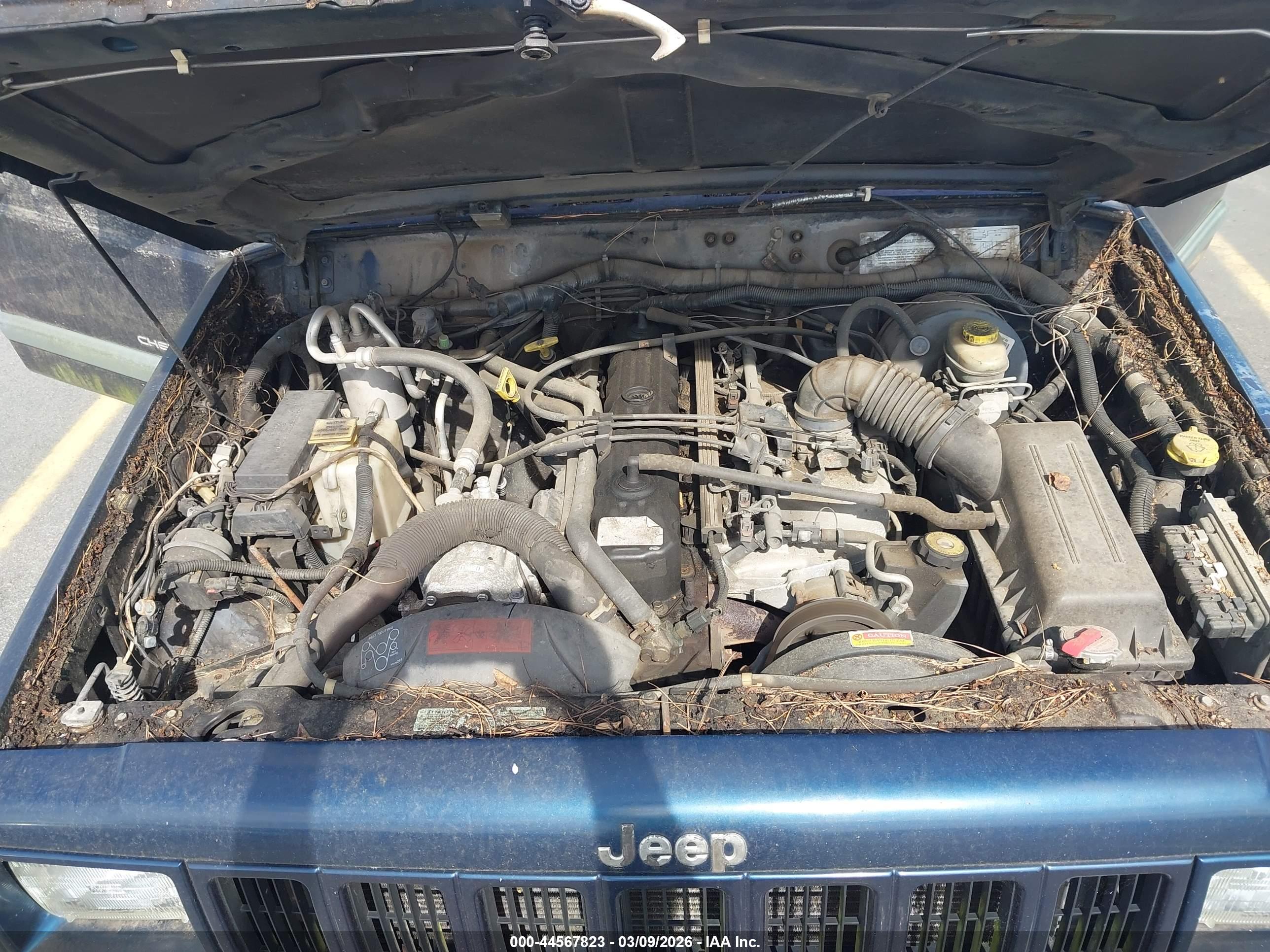 JEEP CHEROKEE image 10
