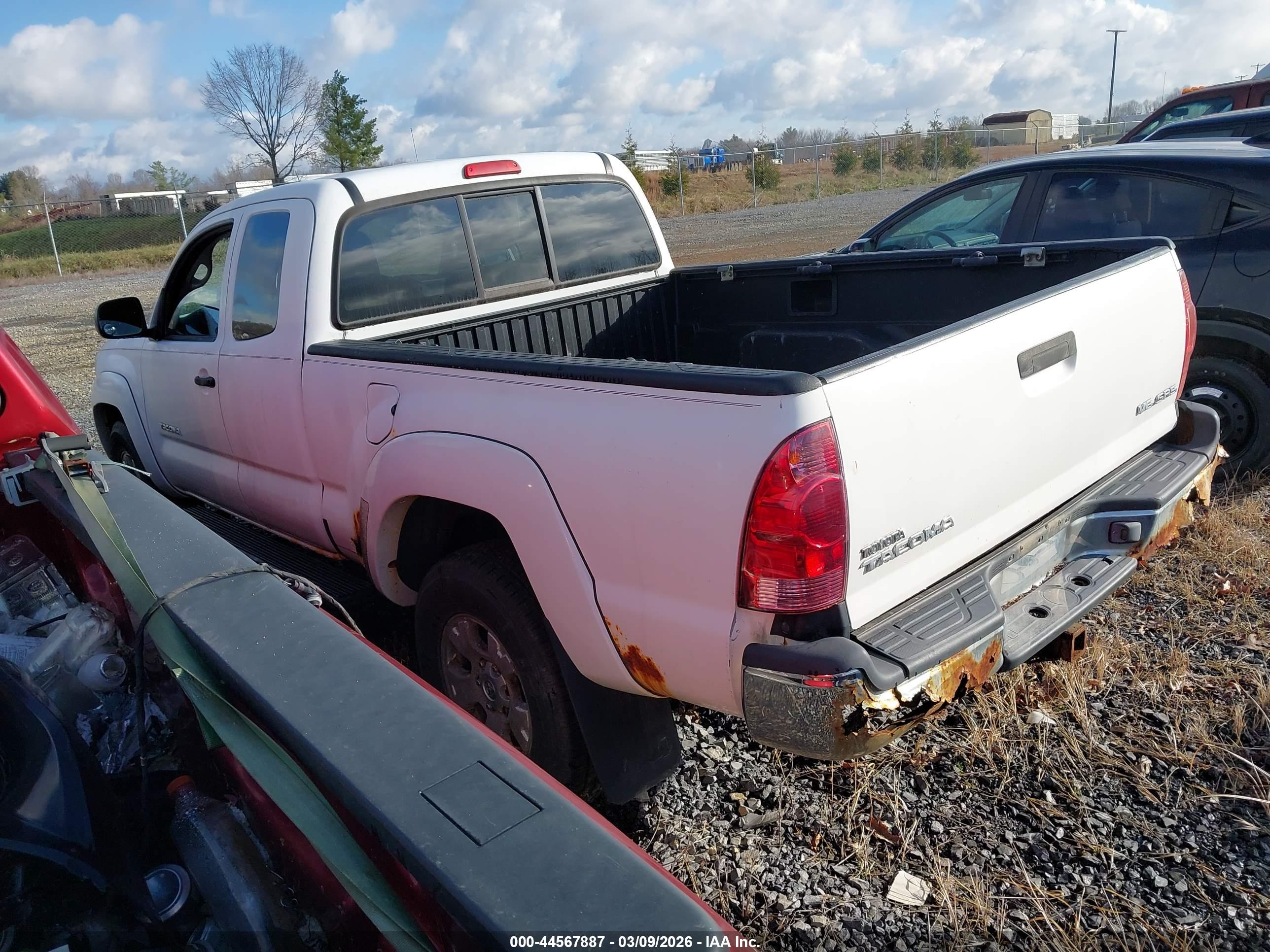 TOYOTA TACOMA image 3