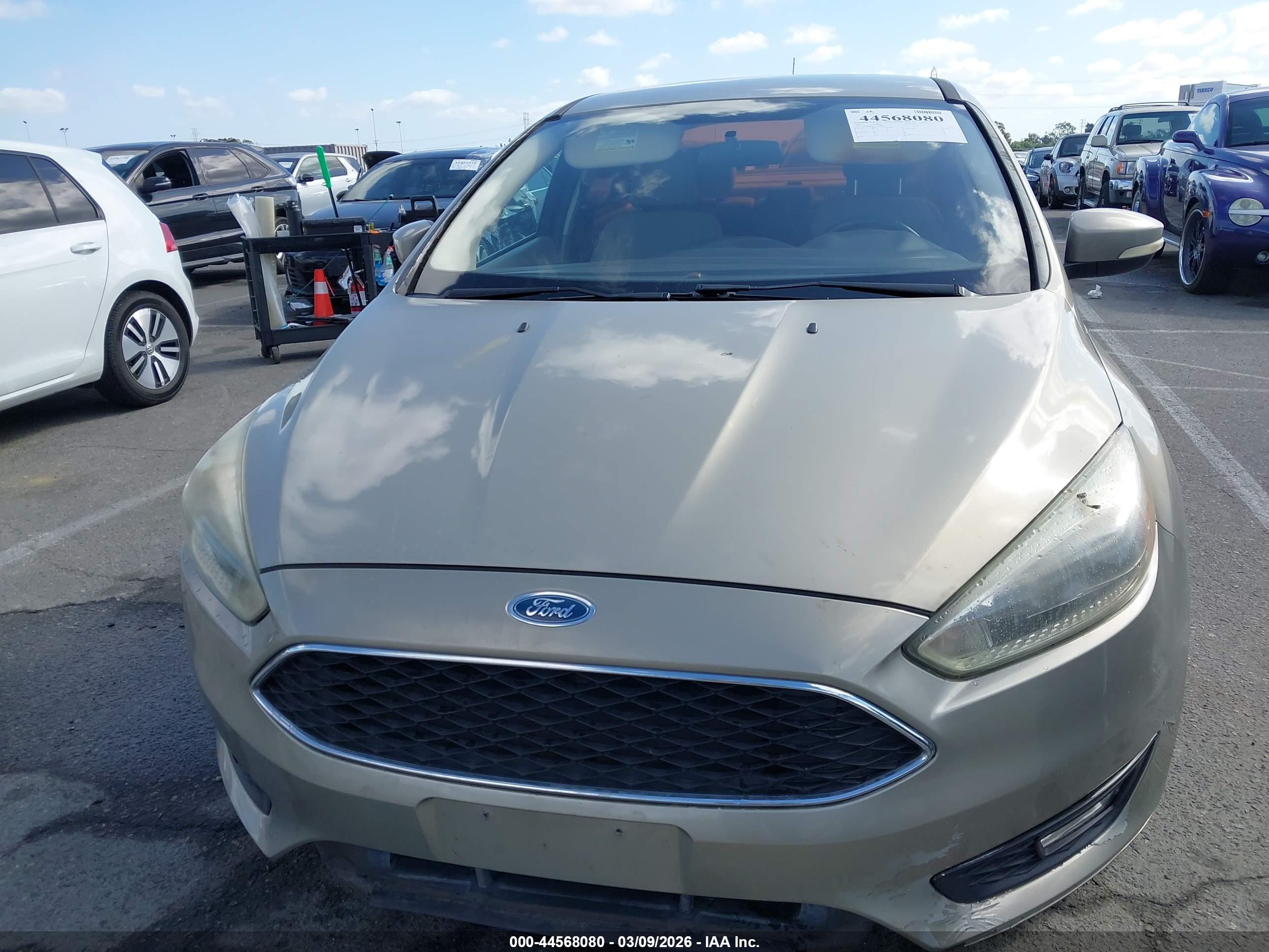 FORD FOCUS image 6