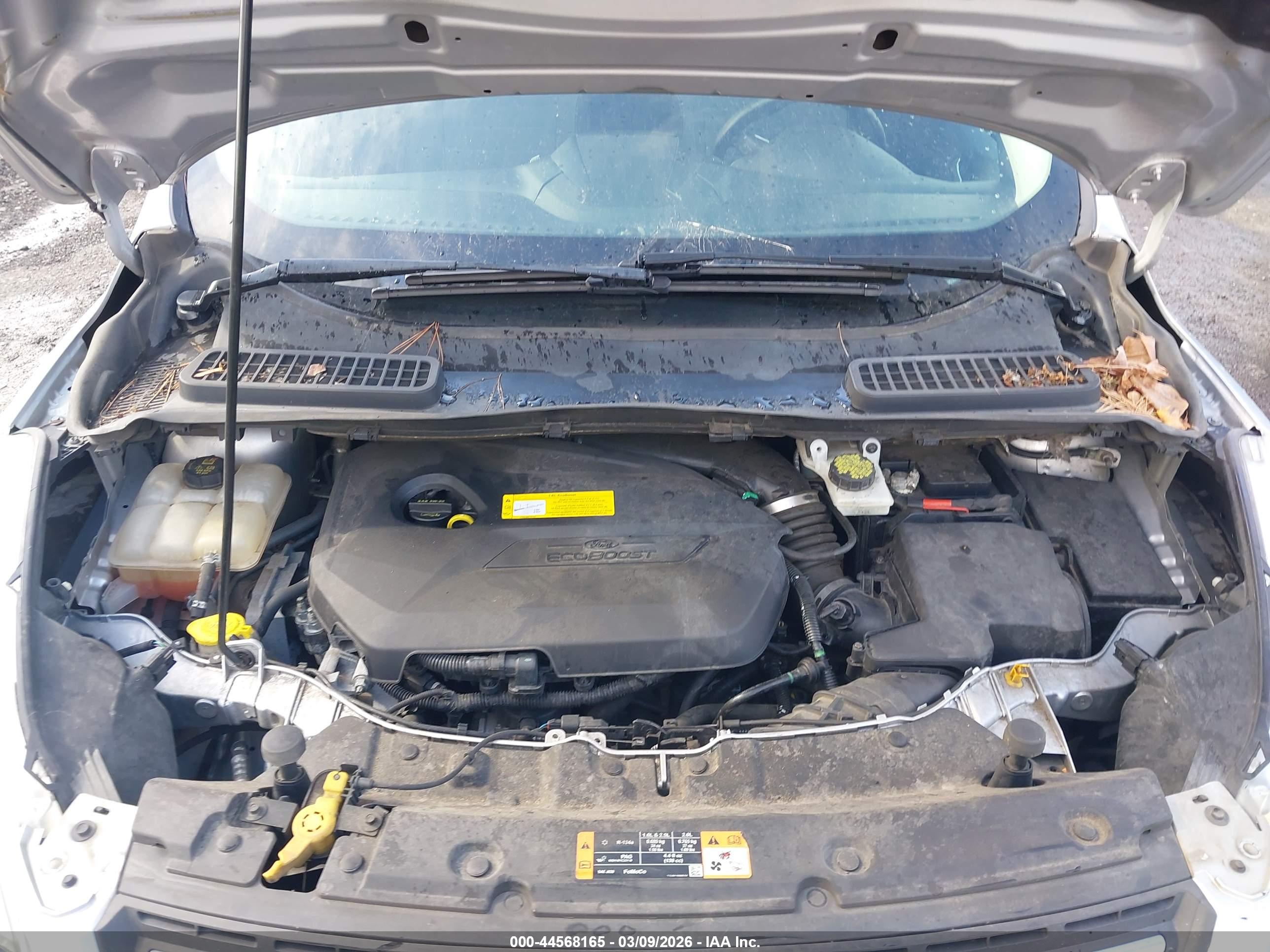 FORD ESCAPE image 10