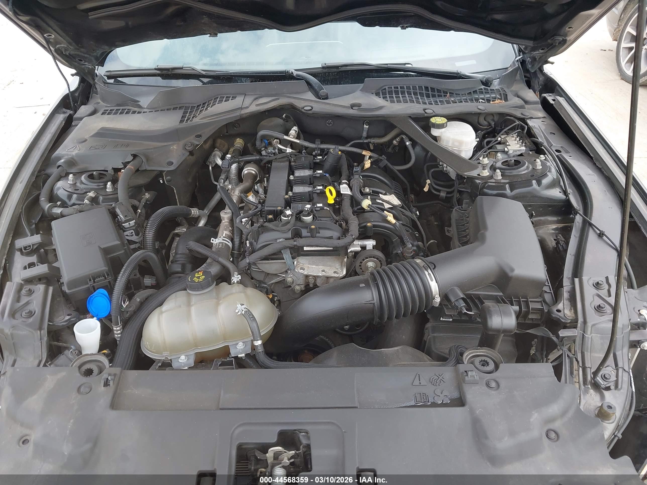 FORD MUSTANG image 10