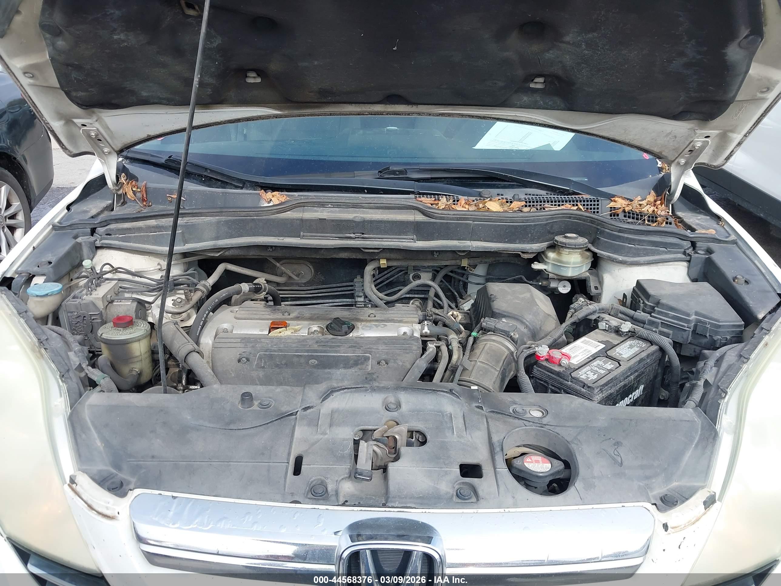 HONDA CR-V image 10