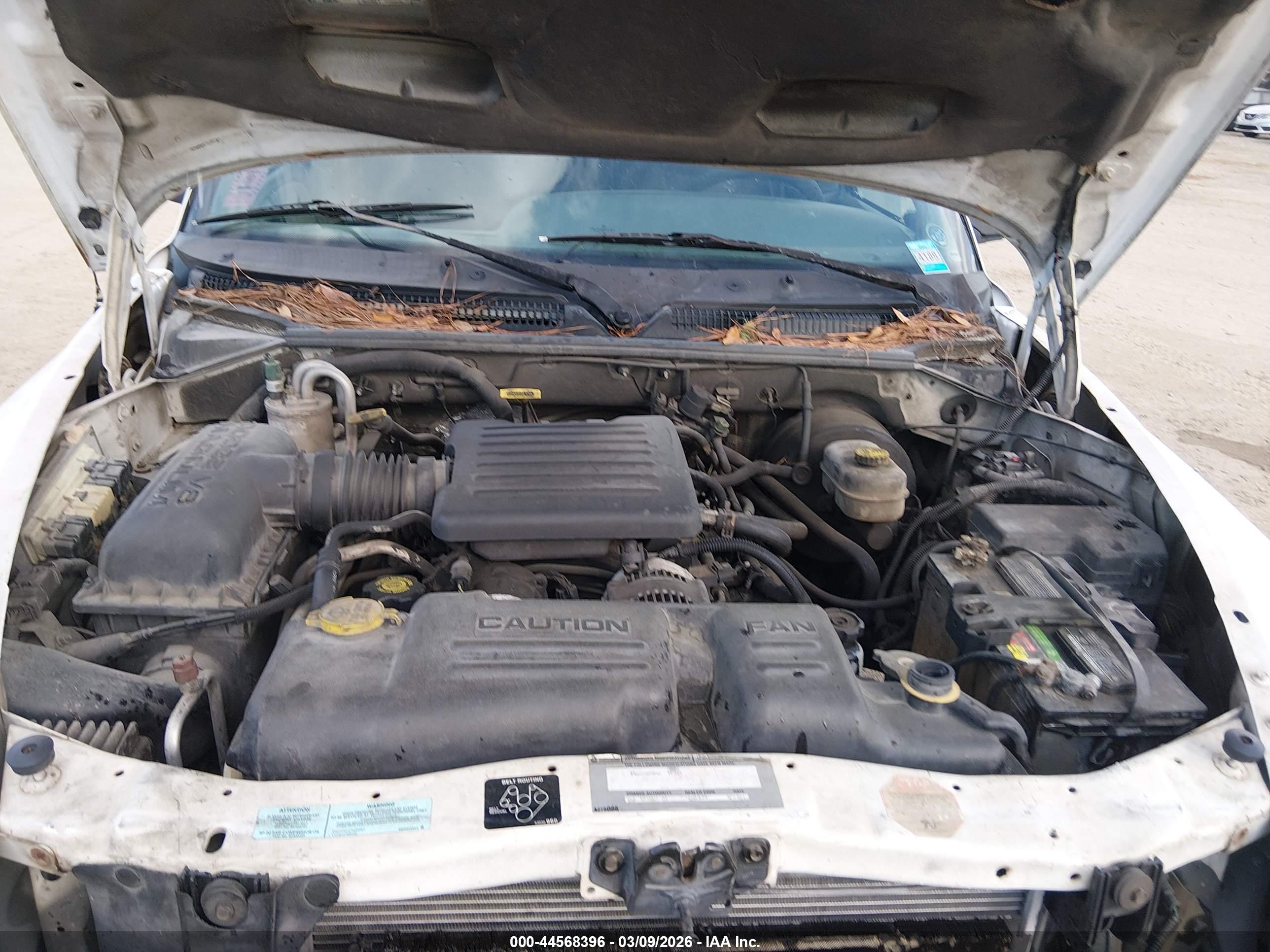 DODGE DAKOTA image 10