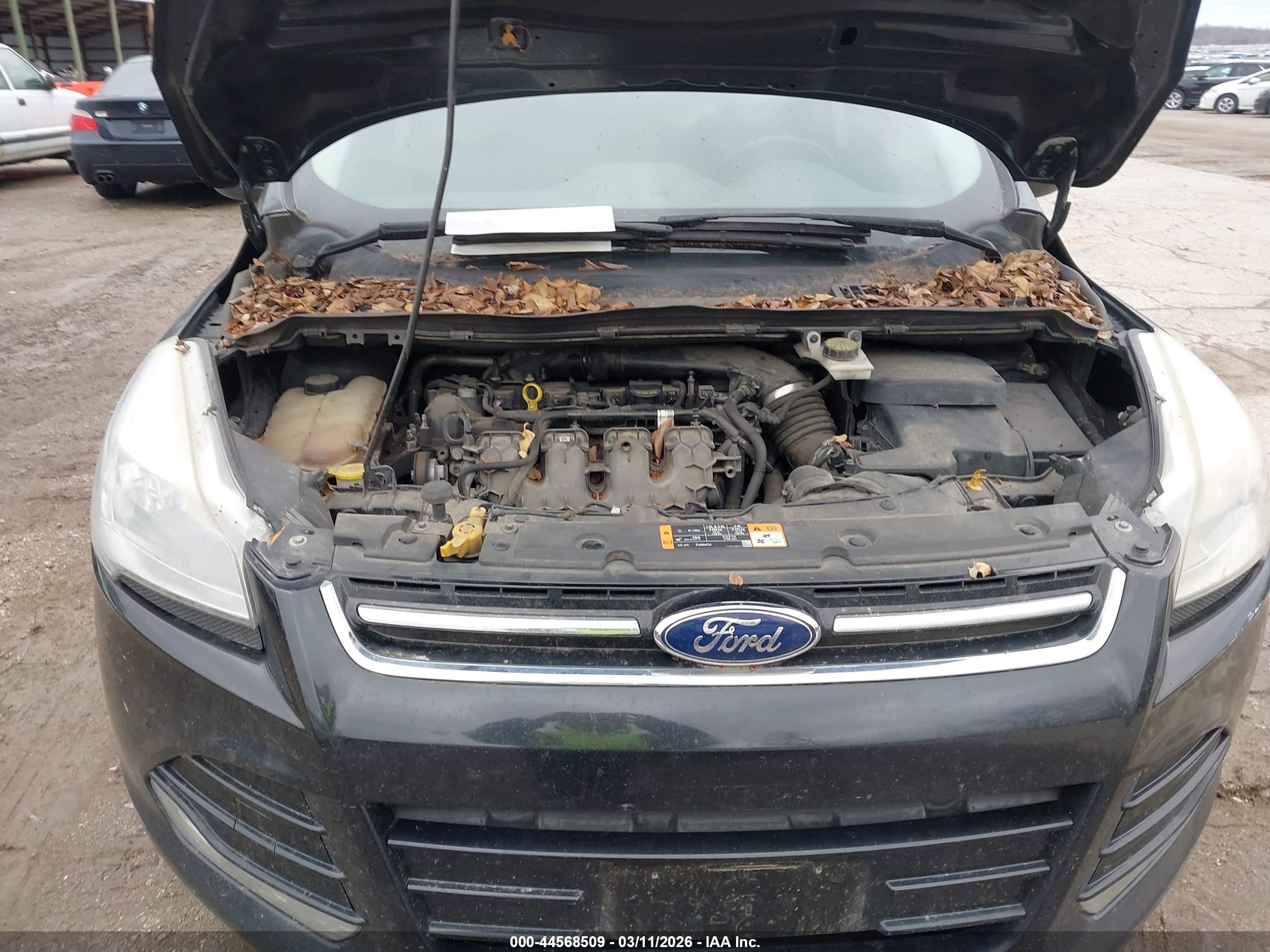 FORD ESCAPE image 10