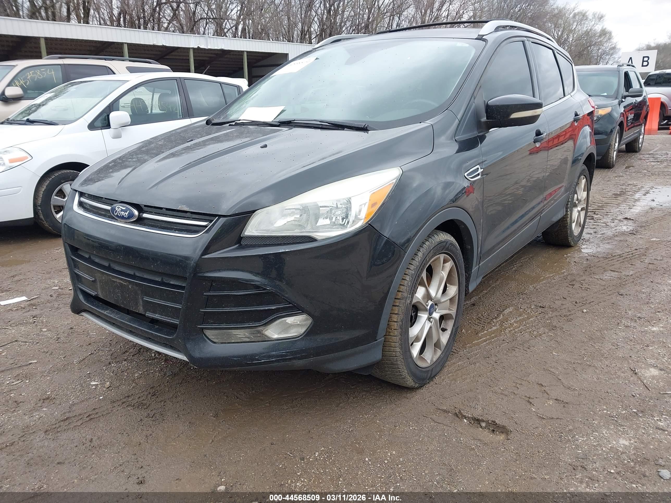 FORD ESCAPE image 2