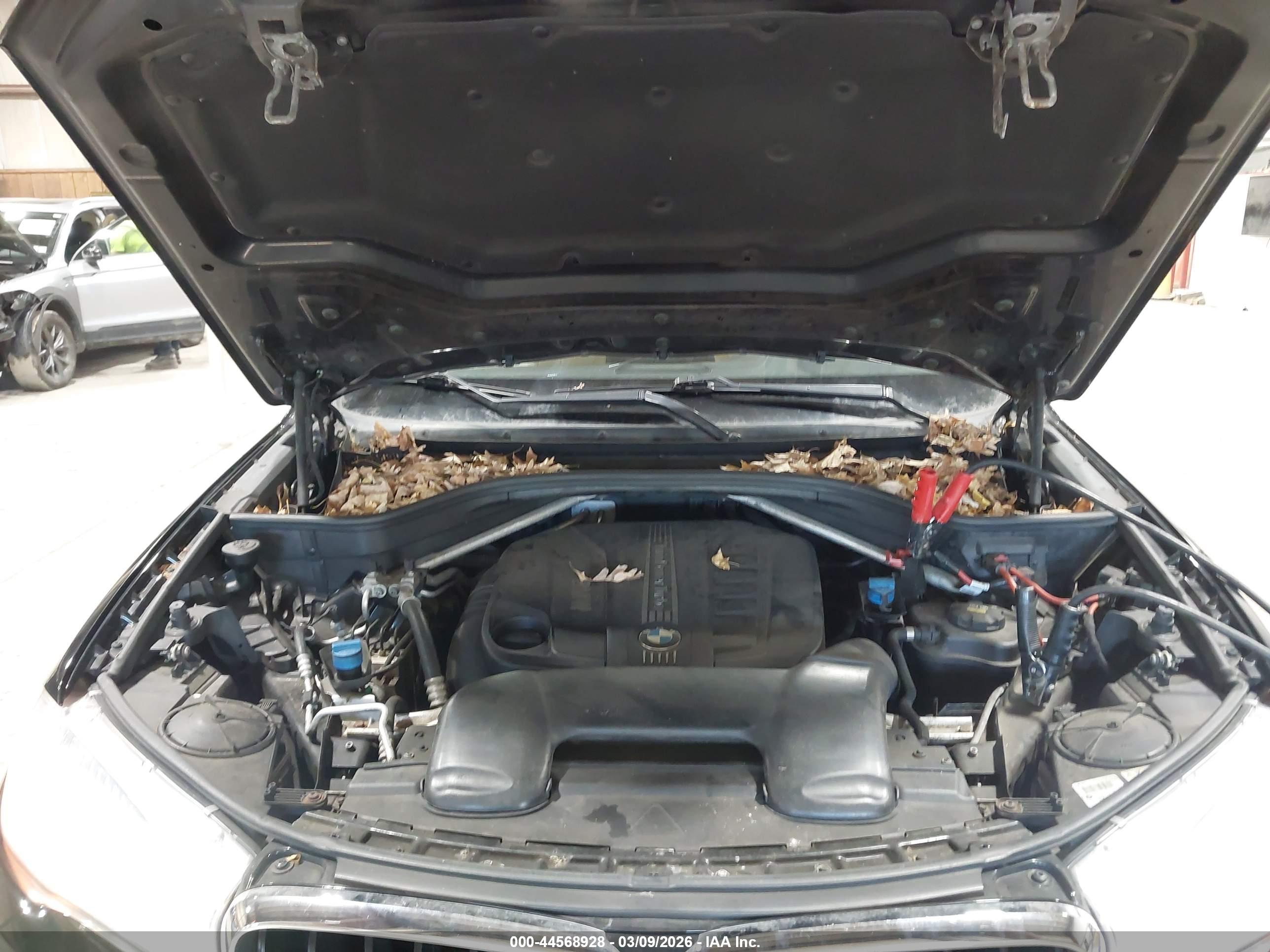 BMW X5 image 10
