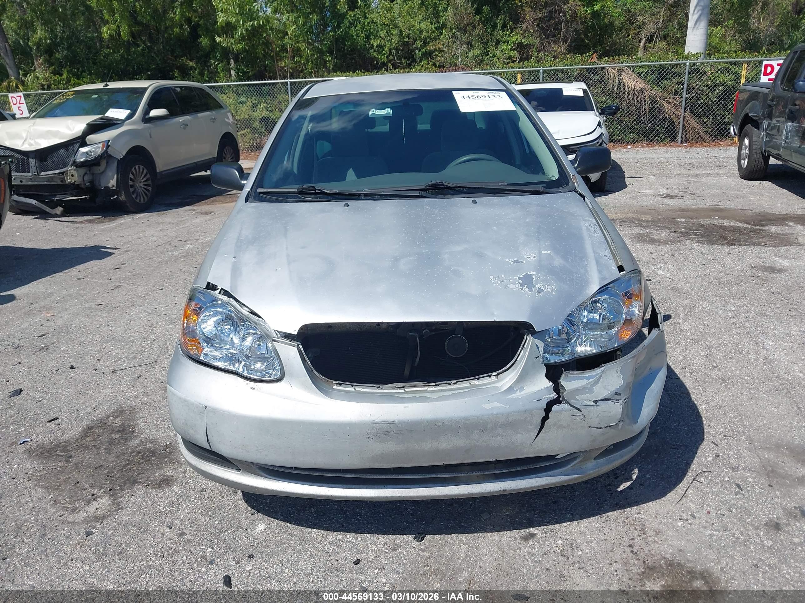 TOYOTA COROLLA image 6