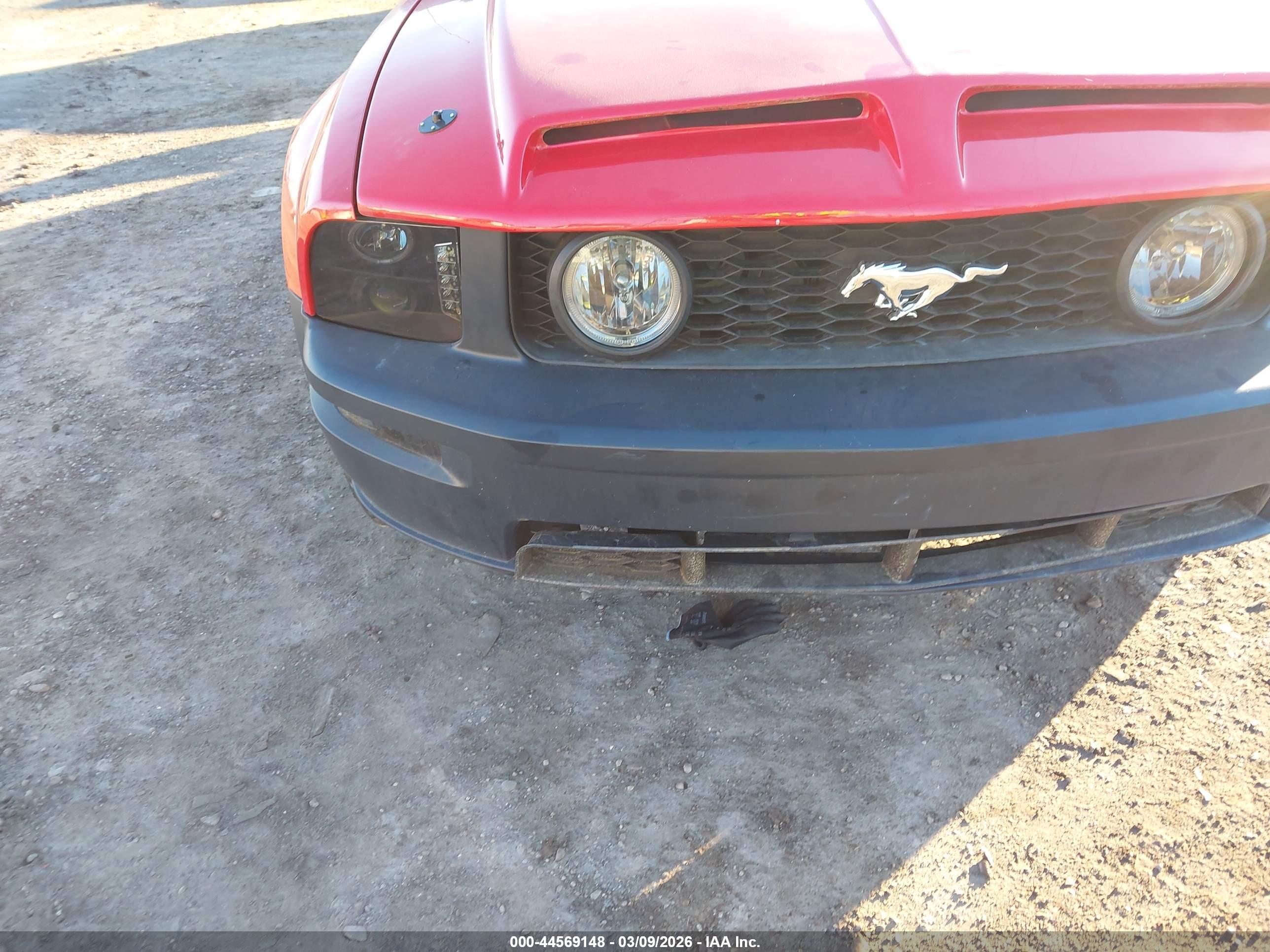 FORD MUSTANG image 6