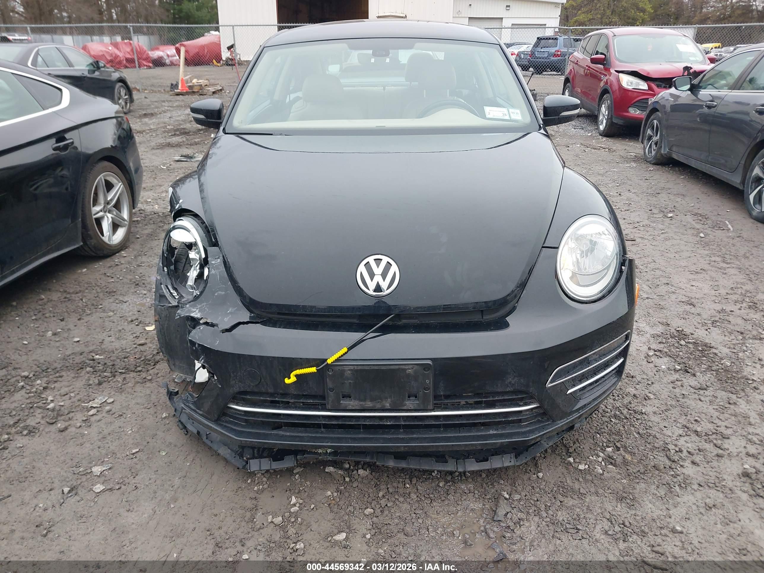 VOLKSWAGEN BEETLE image 6