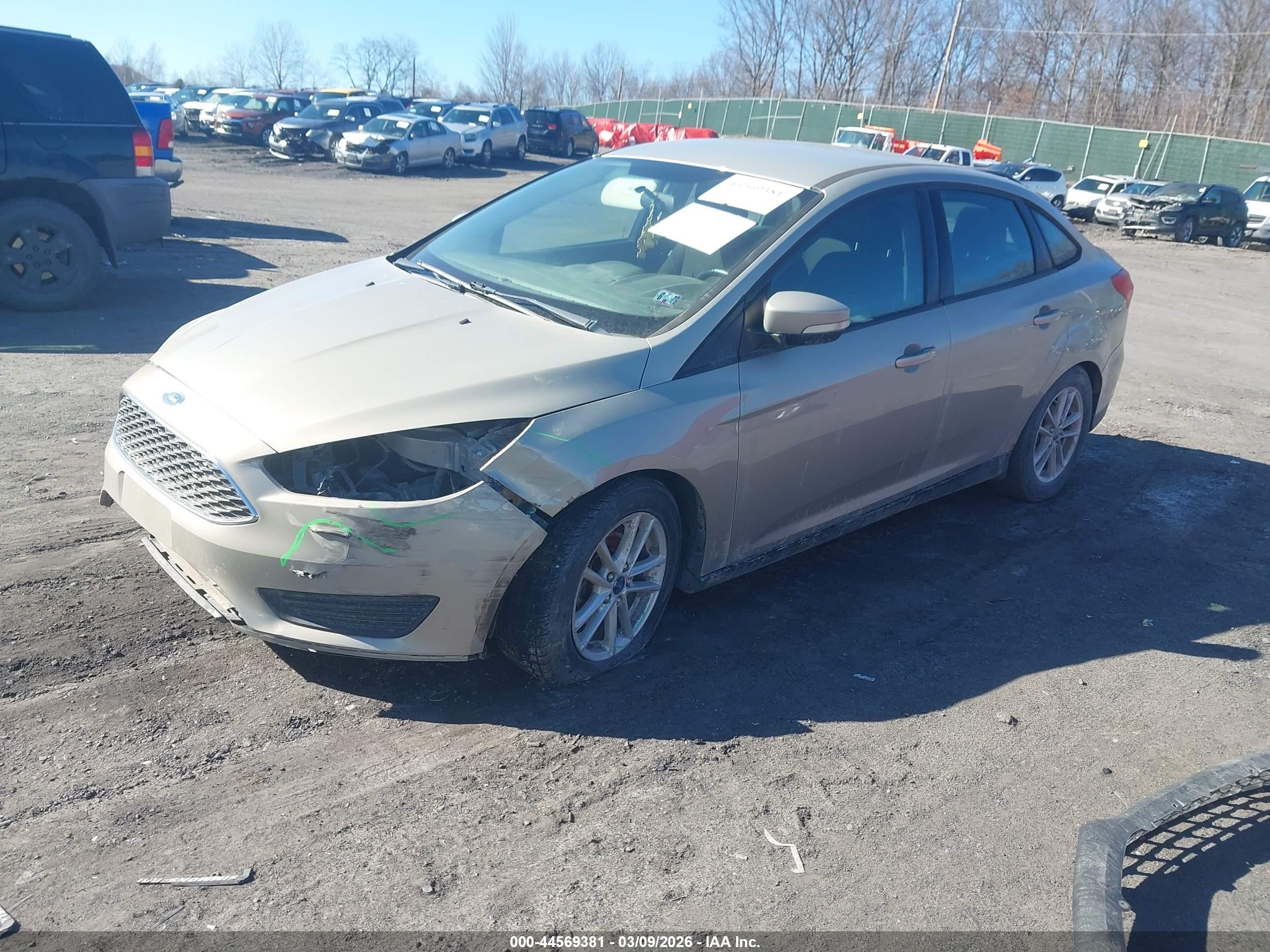 FORD FOCUS image 2