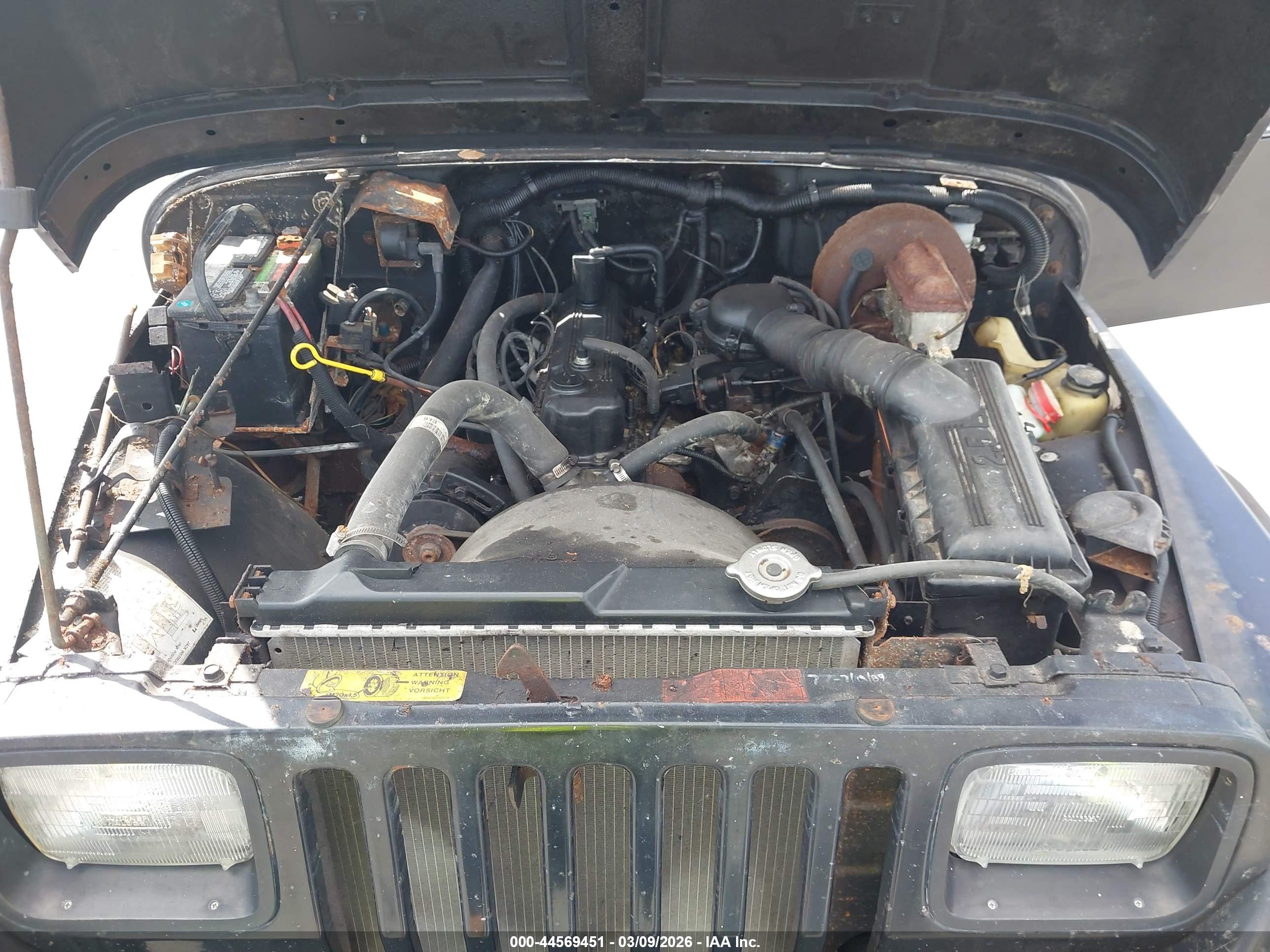 JEEP WRANGLER image 10