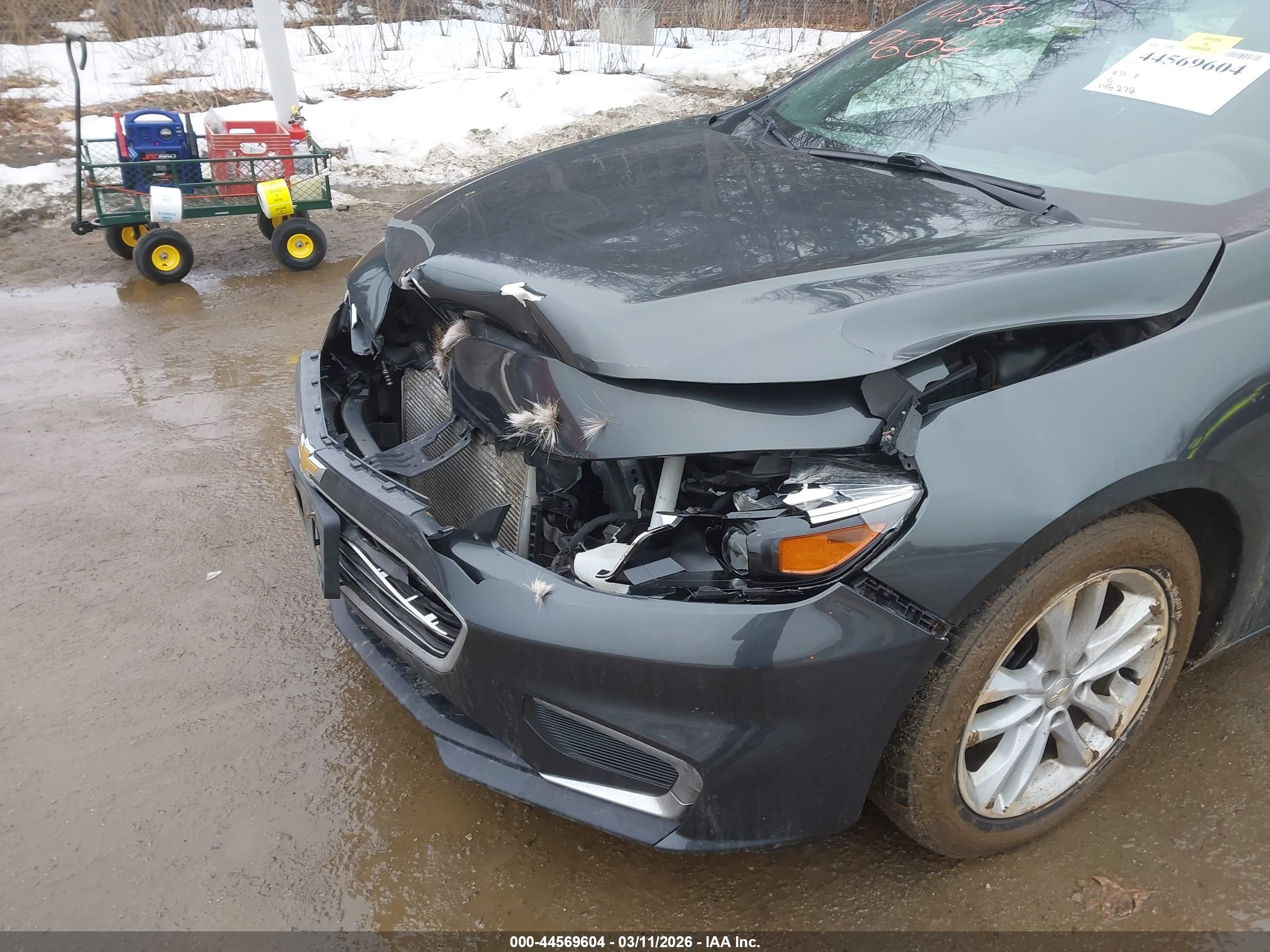 CHEVROLET MALIBU image 6