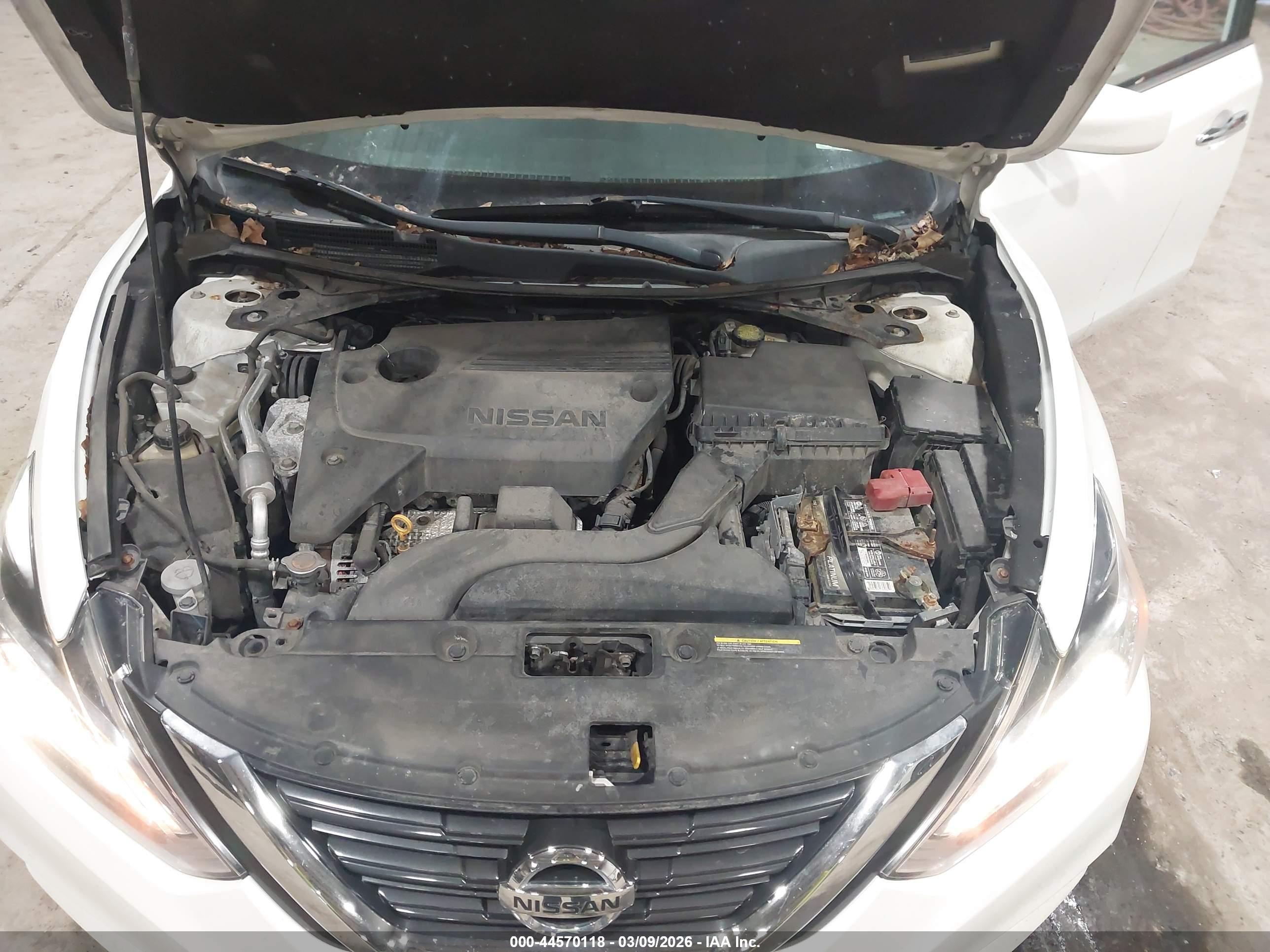 NISSAN ALTIMA image 10