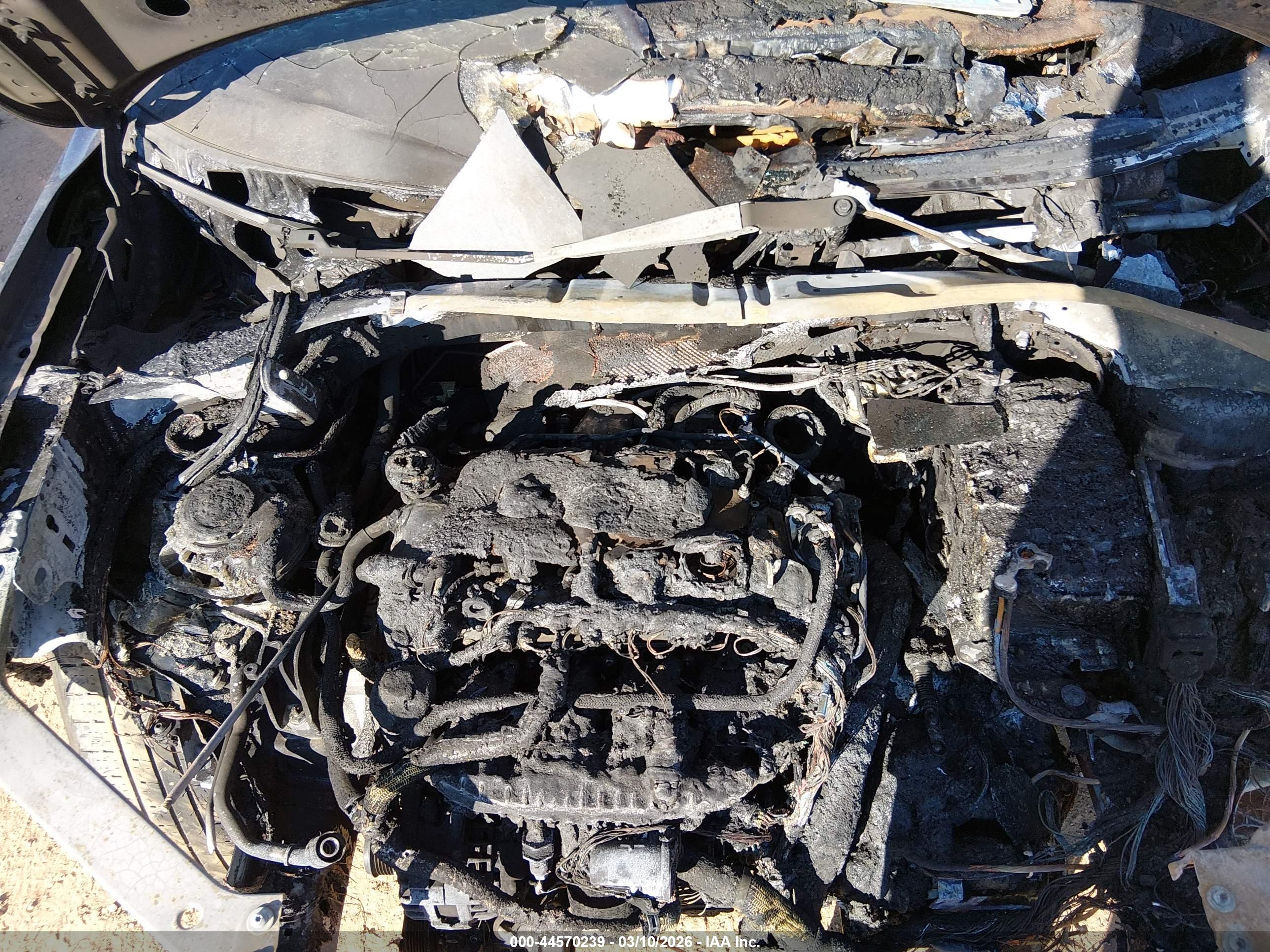 VOLKSWAGEN TIGUAN image 10