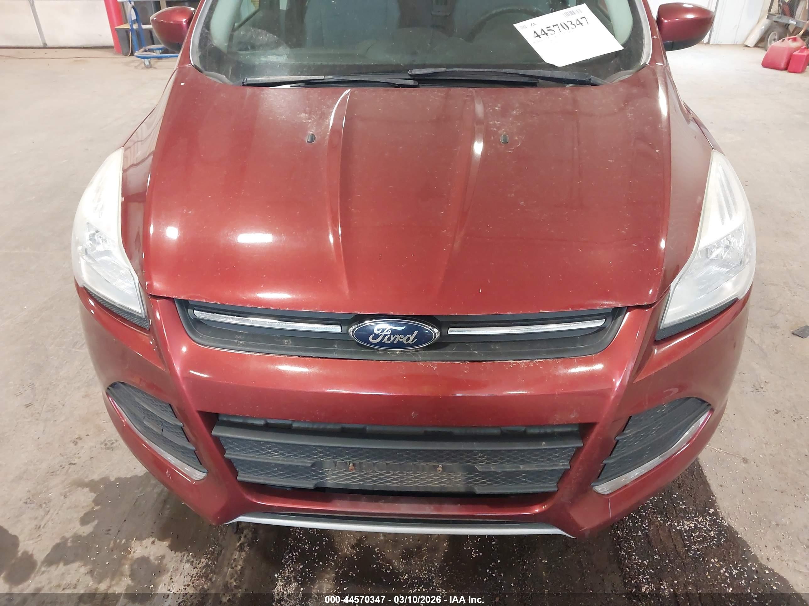 FORD ESCAPE image 6