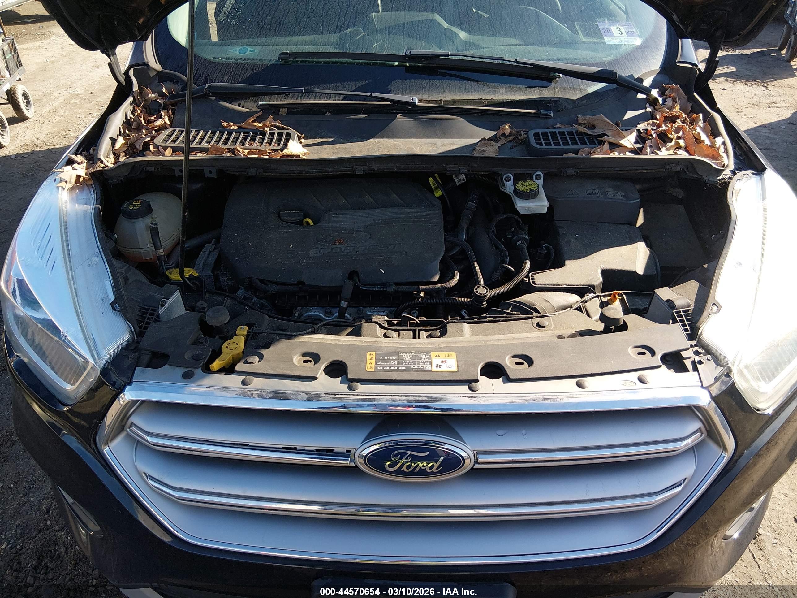 FORD ESCAPE image 10
