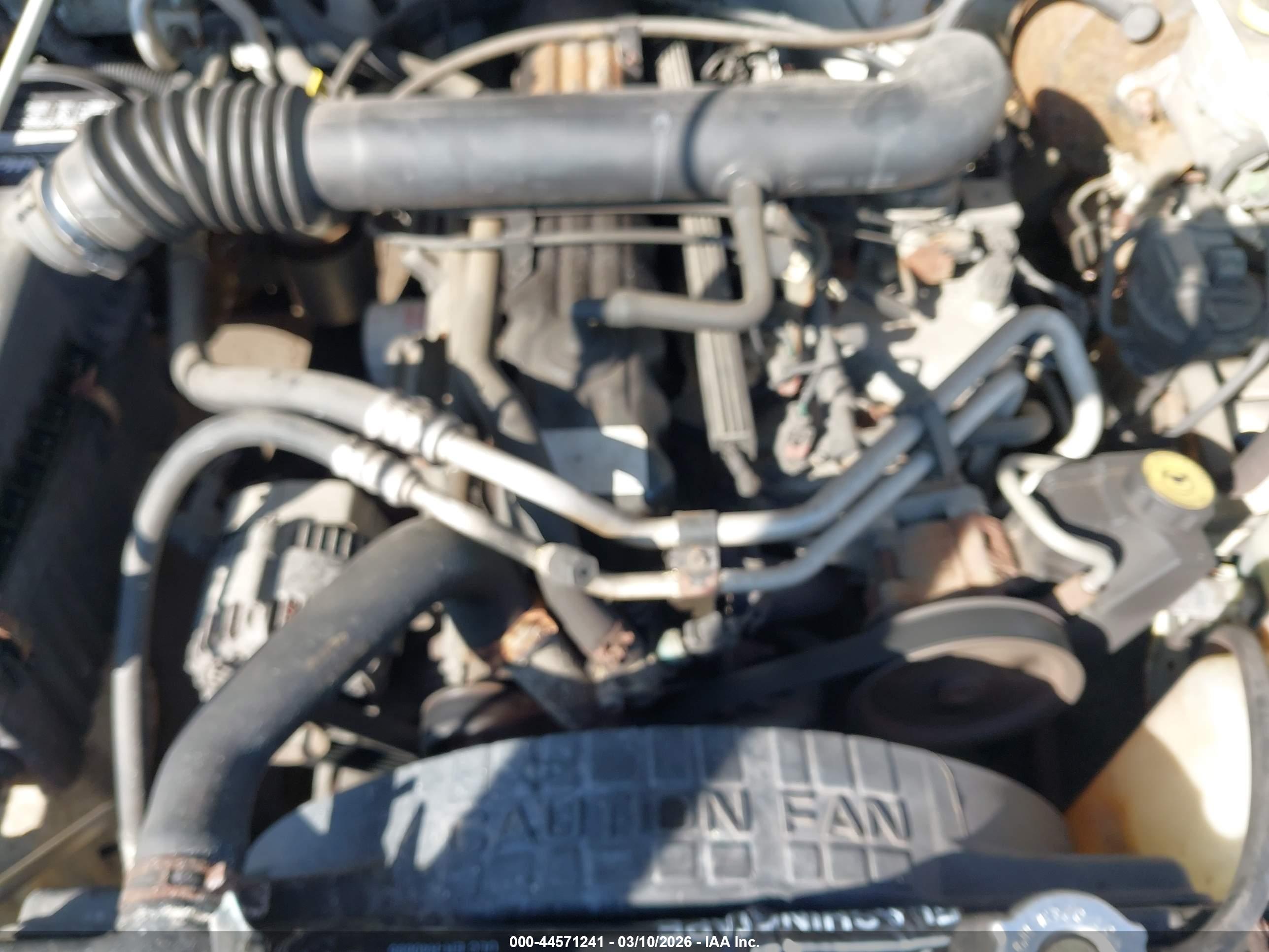 JEEP WRANGLER image 10