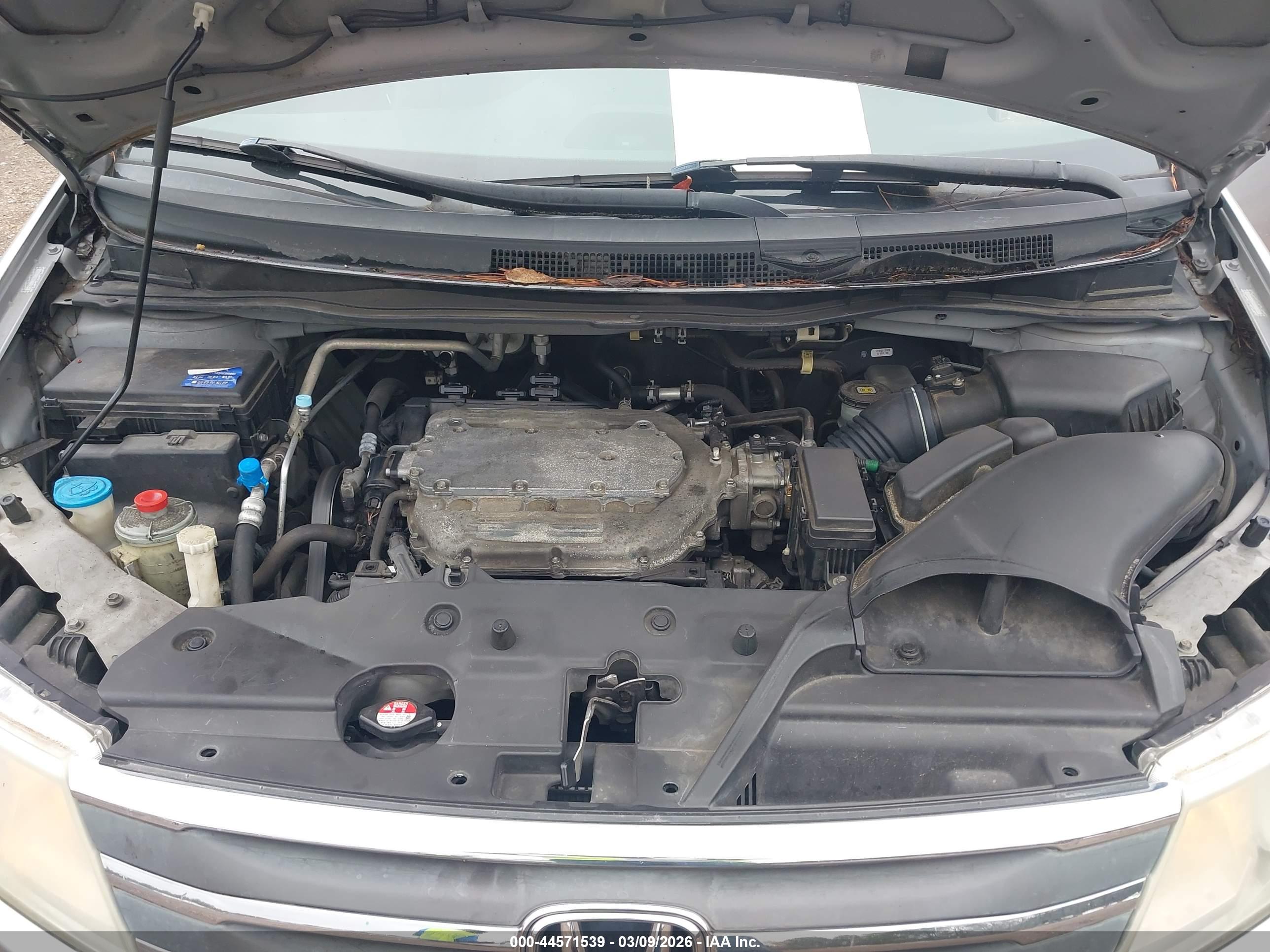 HONDA ODYSSEY image 10