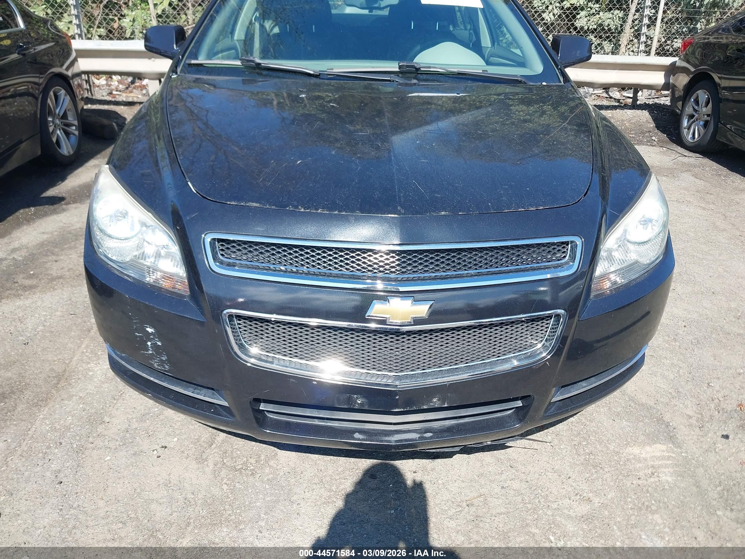 CHEVROLET MALIBU image 6