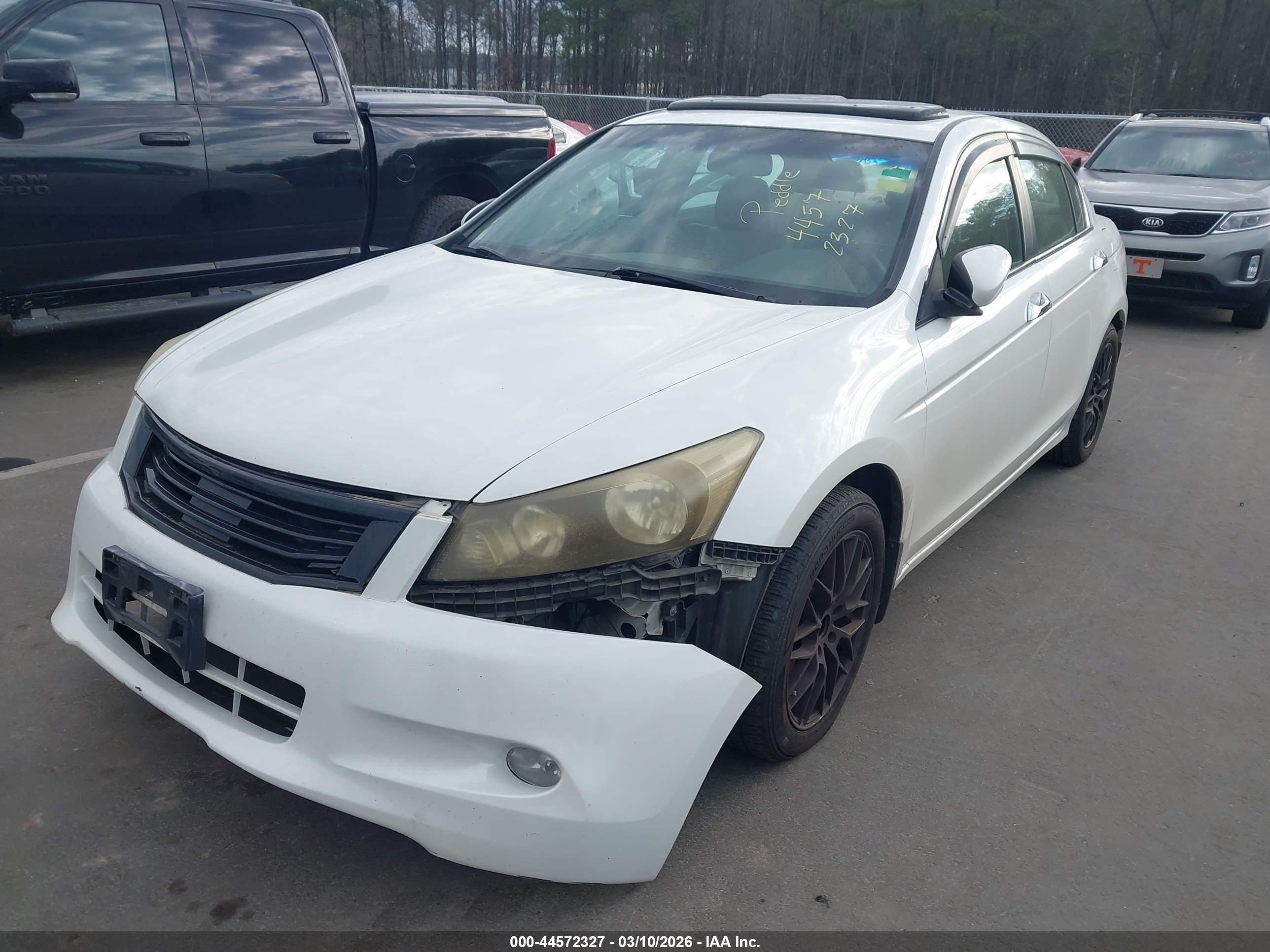 HONDA ACCORD image 2
