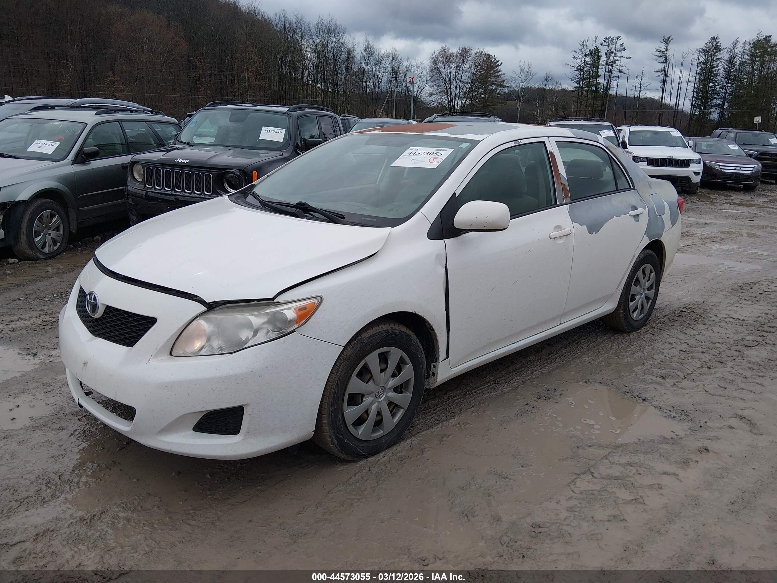 TOYOTA COROLLA image 2