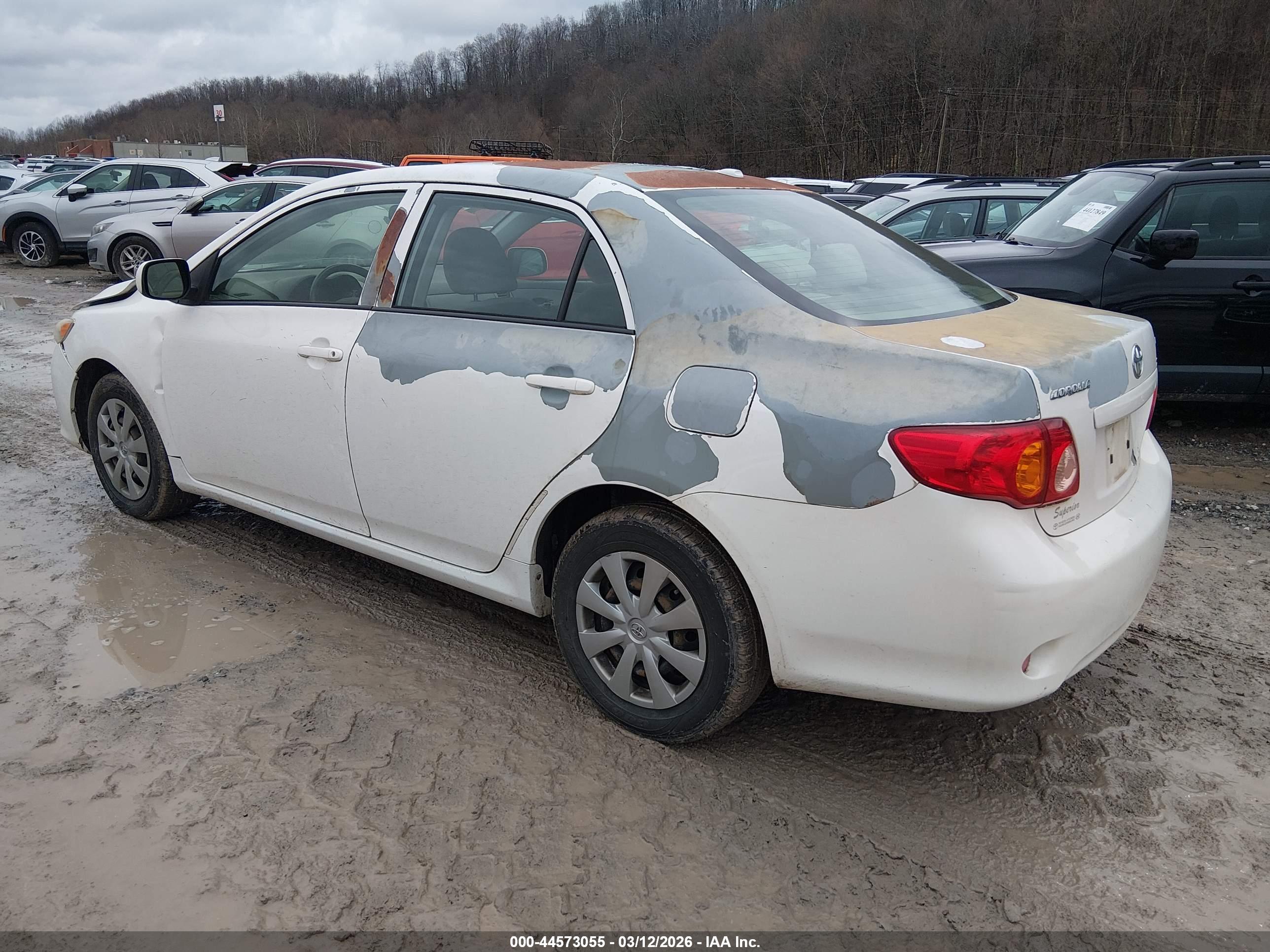 TOYOTA COROLLA image 3