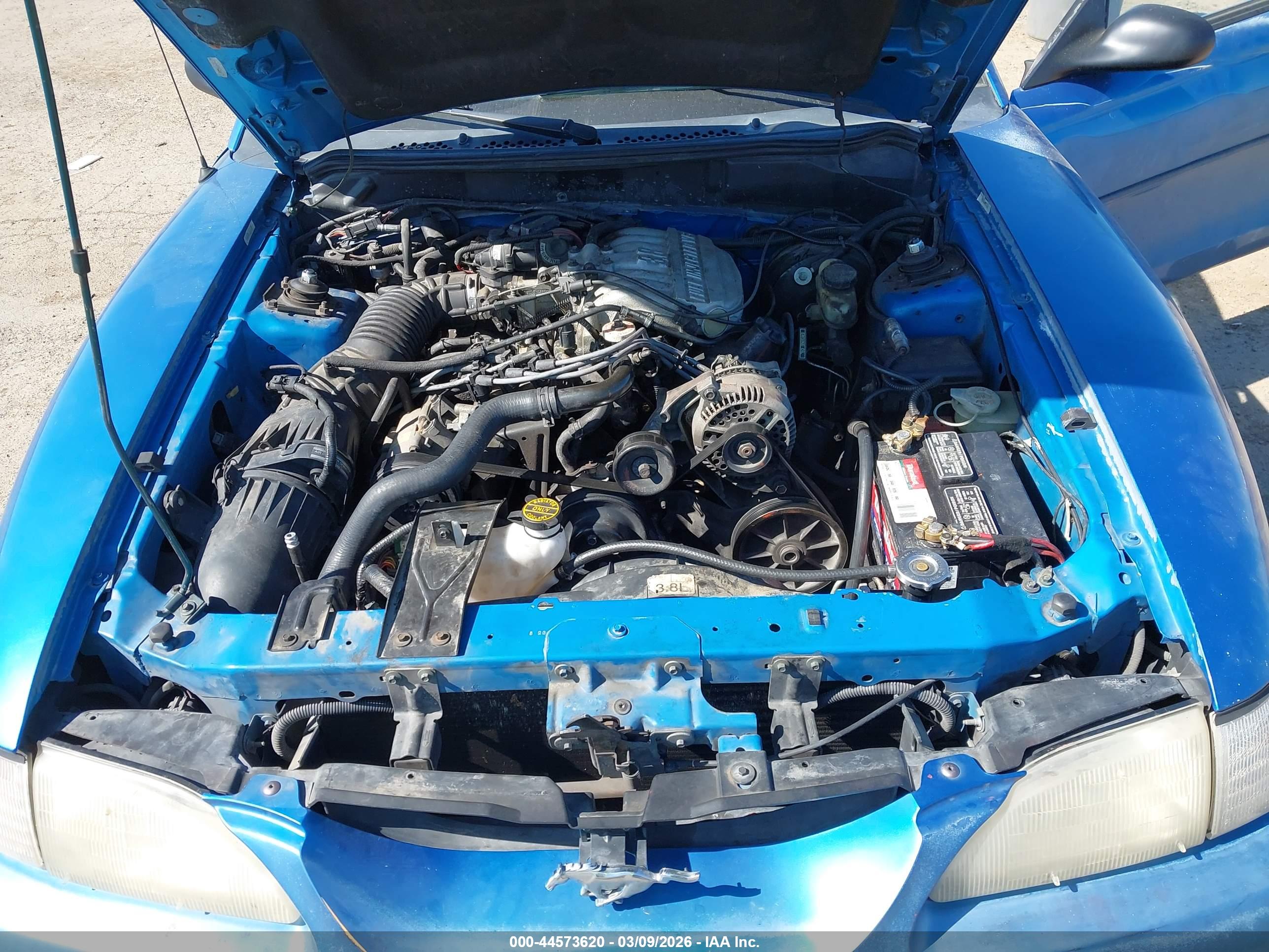 FORD MUSTANG image 10