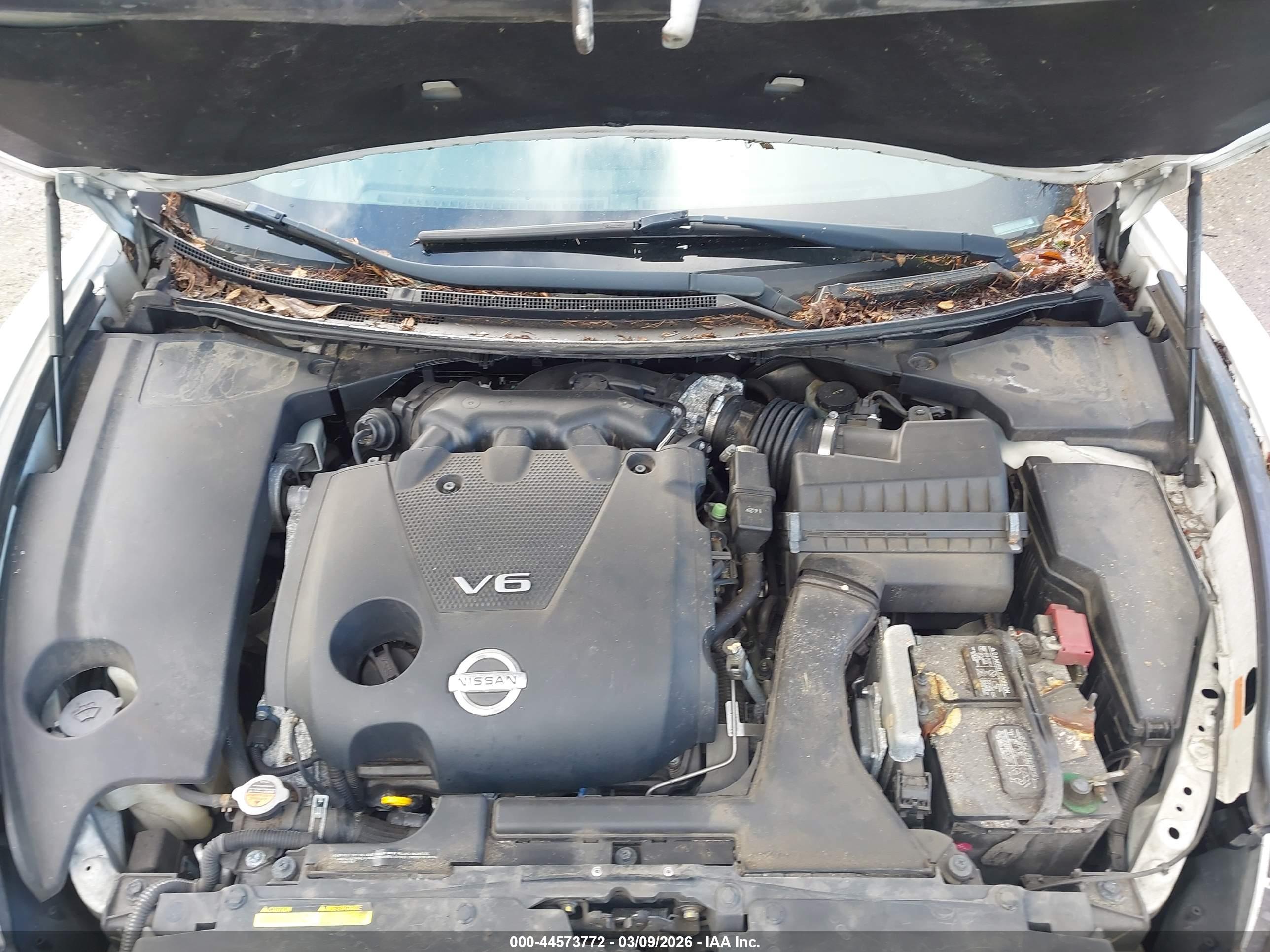 NISSAN MAXIMA image 10